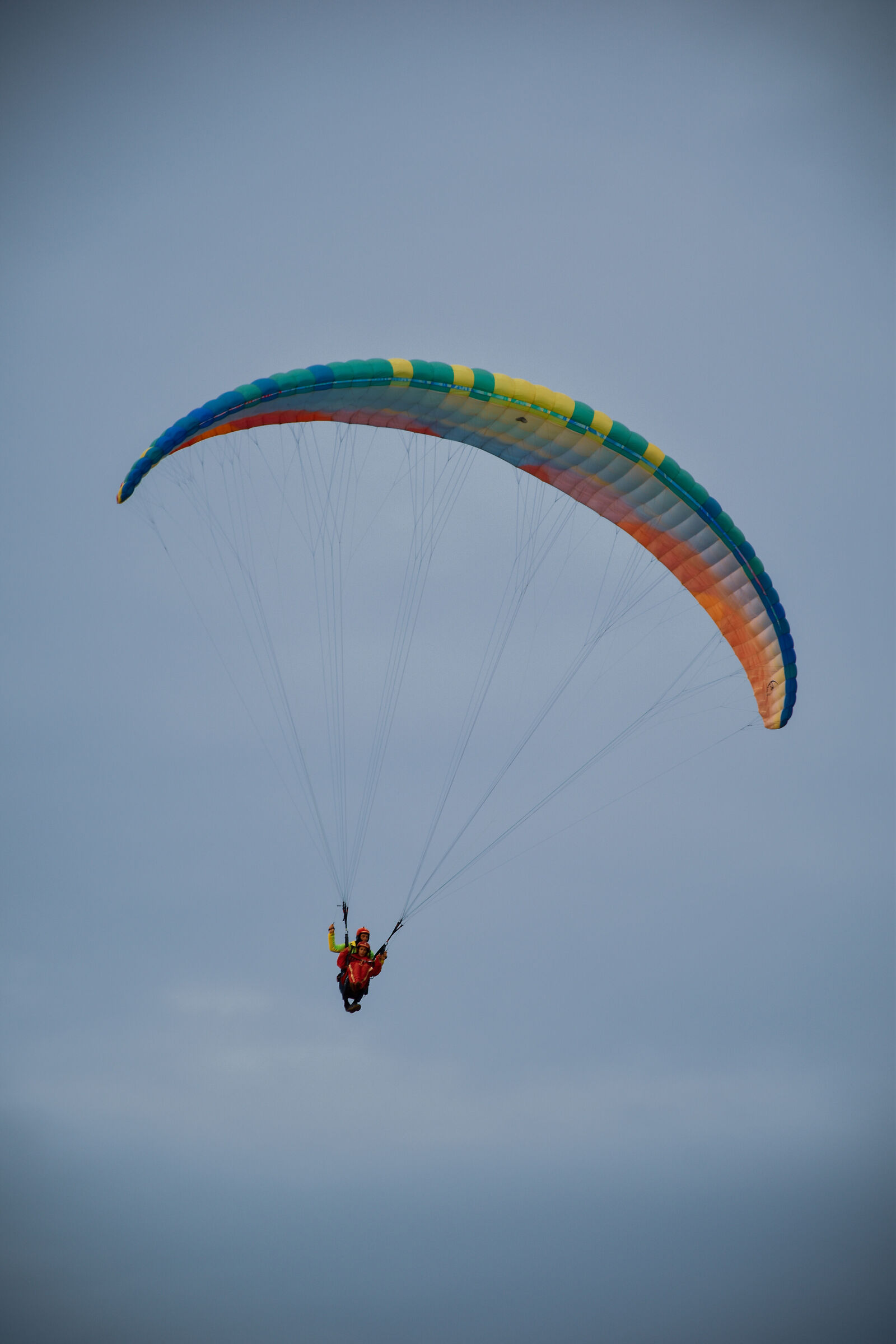 Solo chi ha il coraggio di osare spicca il volo