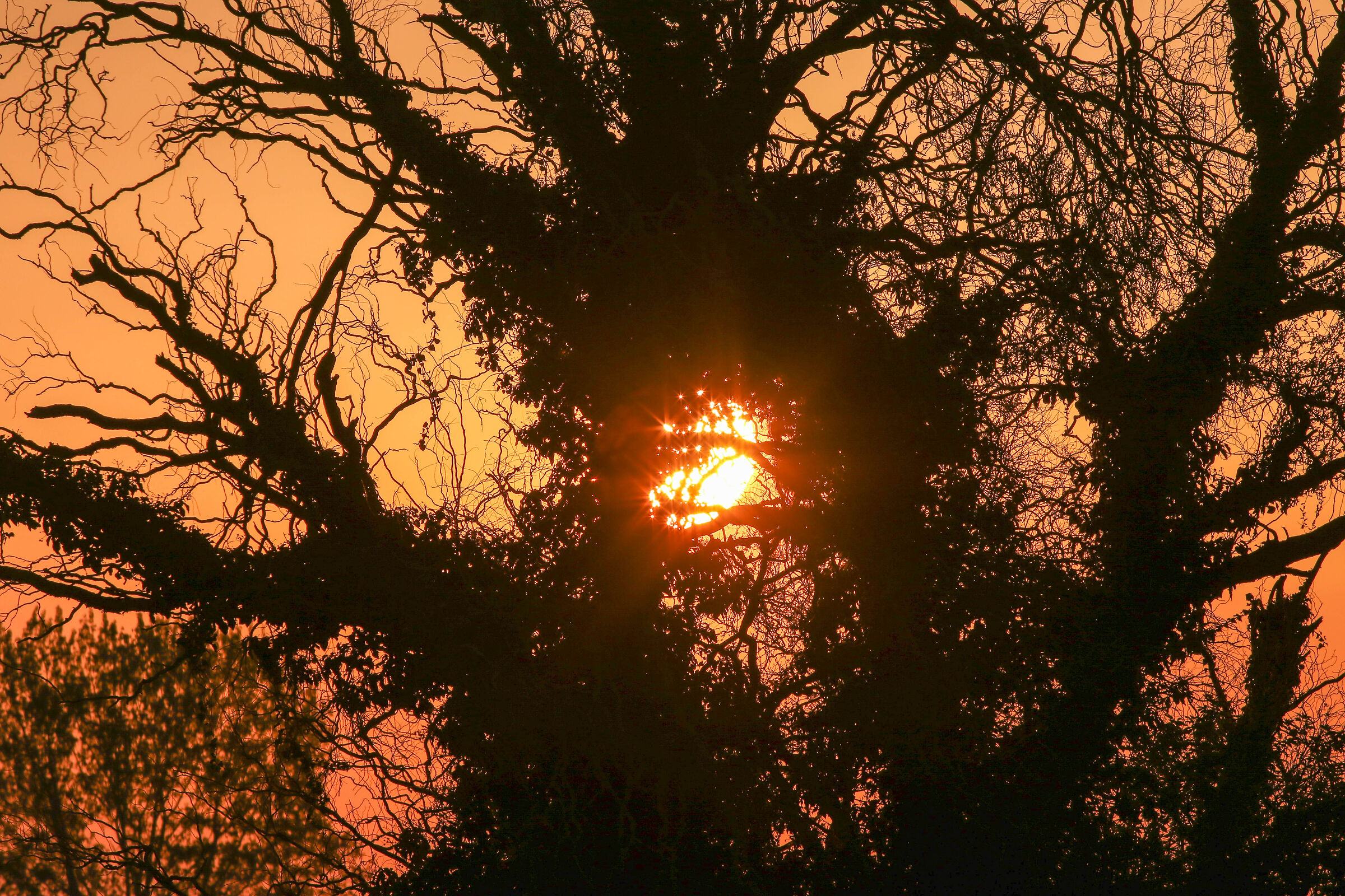 "Come un sole rosso acceso....  Arde per me"  Lato...