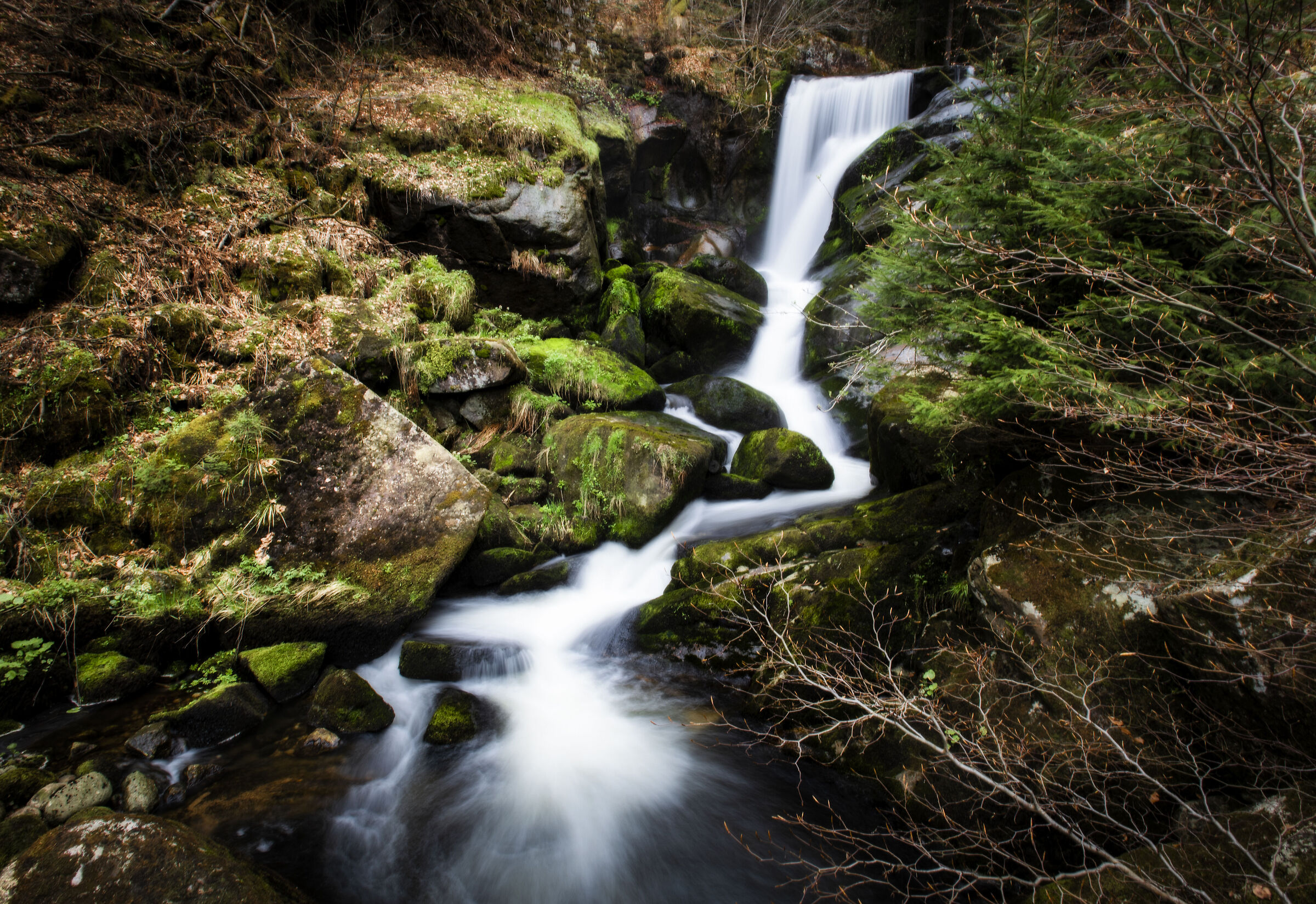 Cascate di Triberg