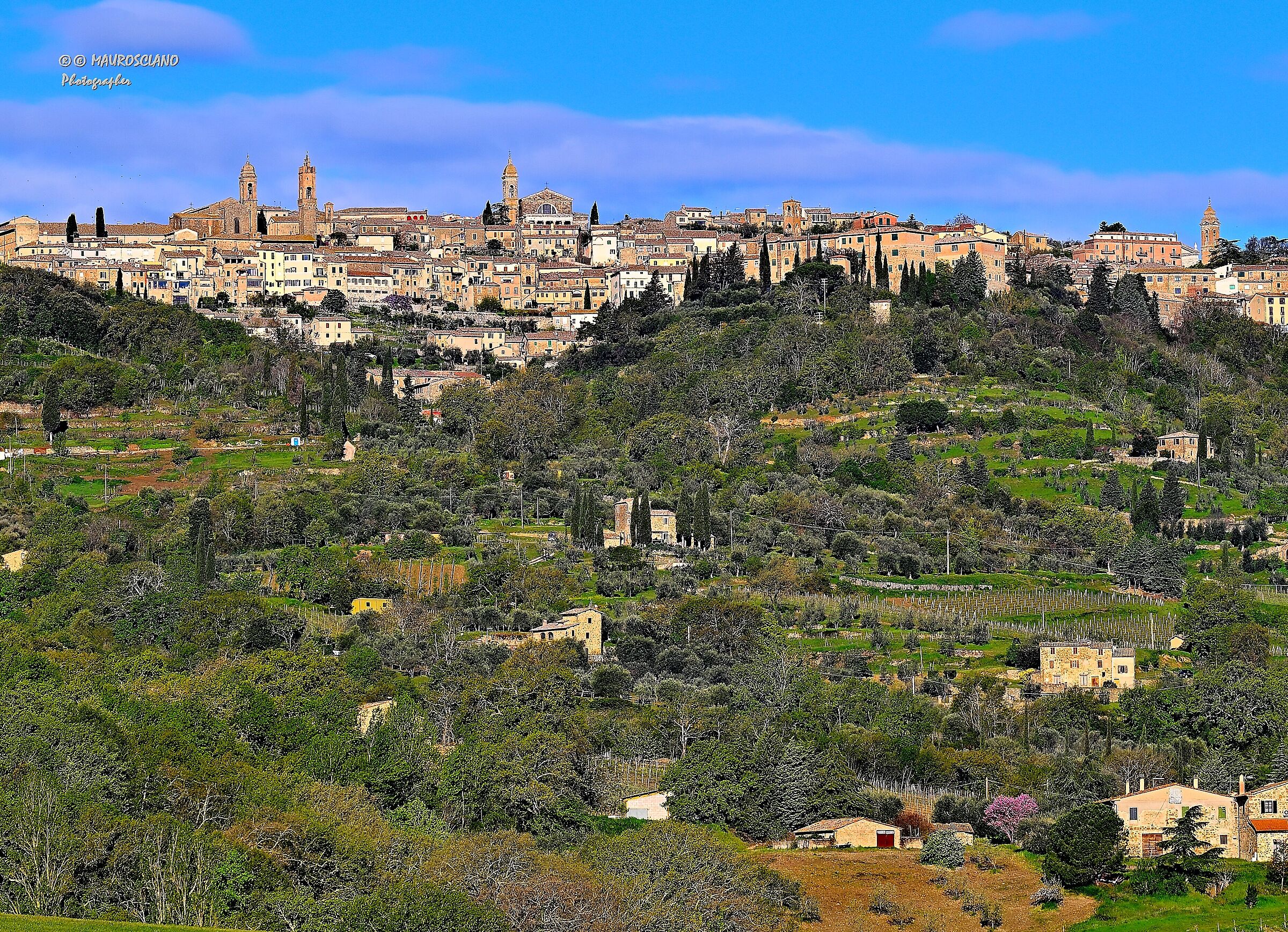 Montalcino(s)