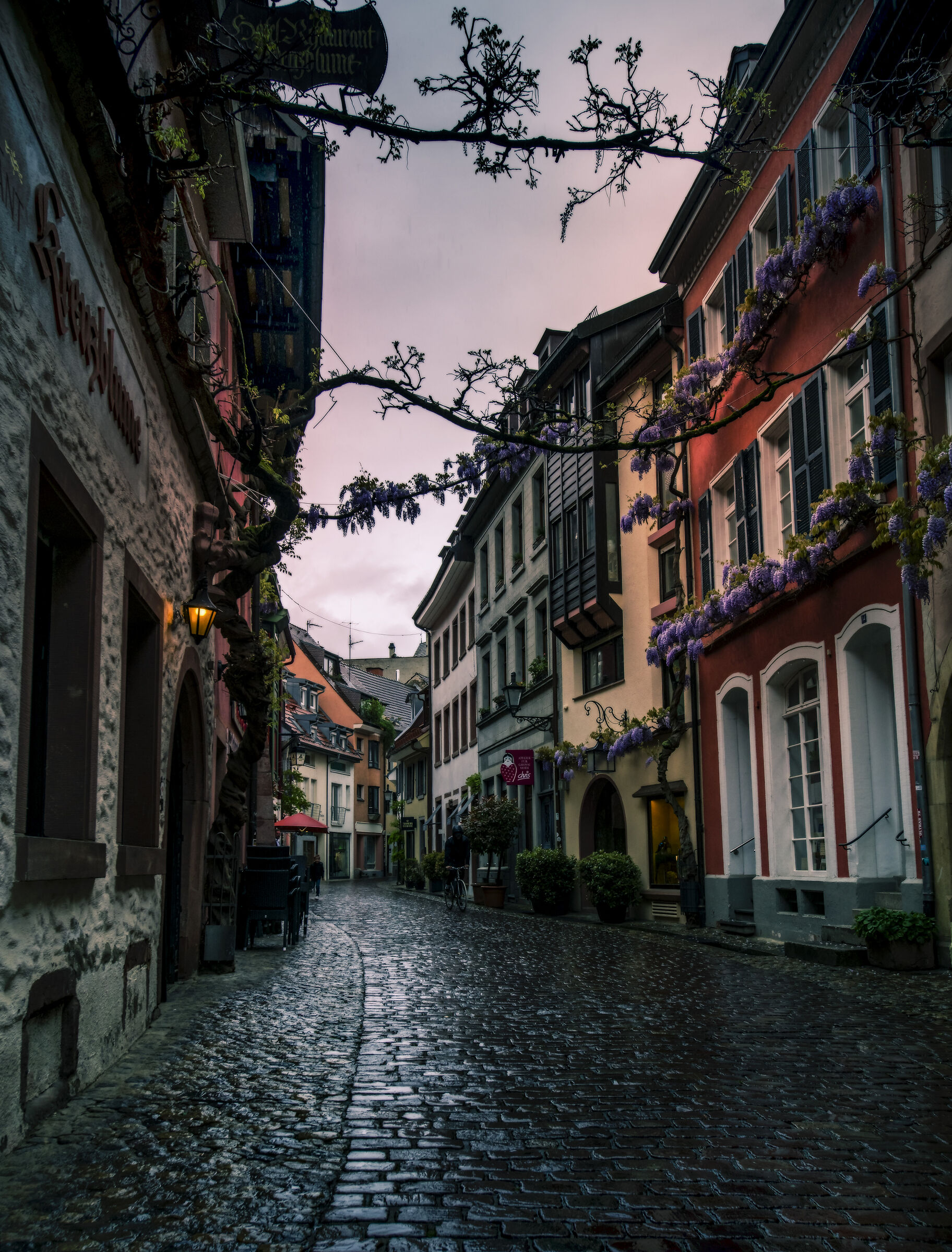 Friburgo