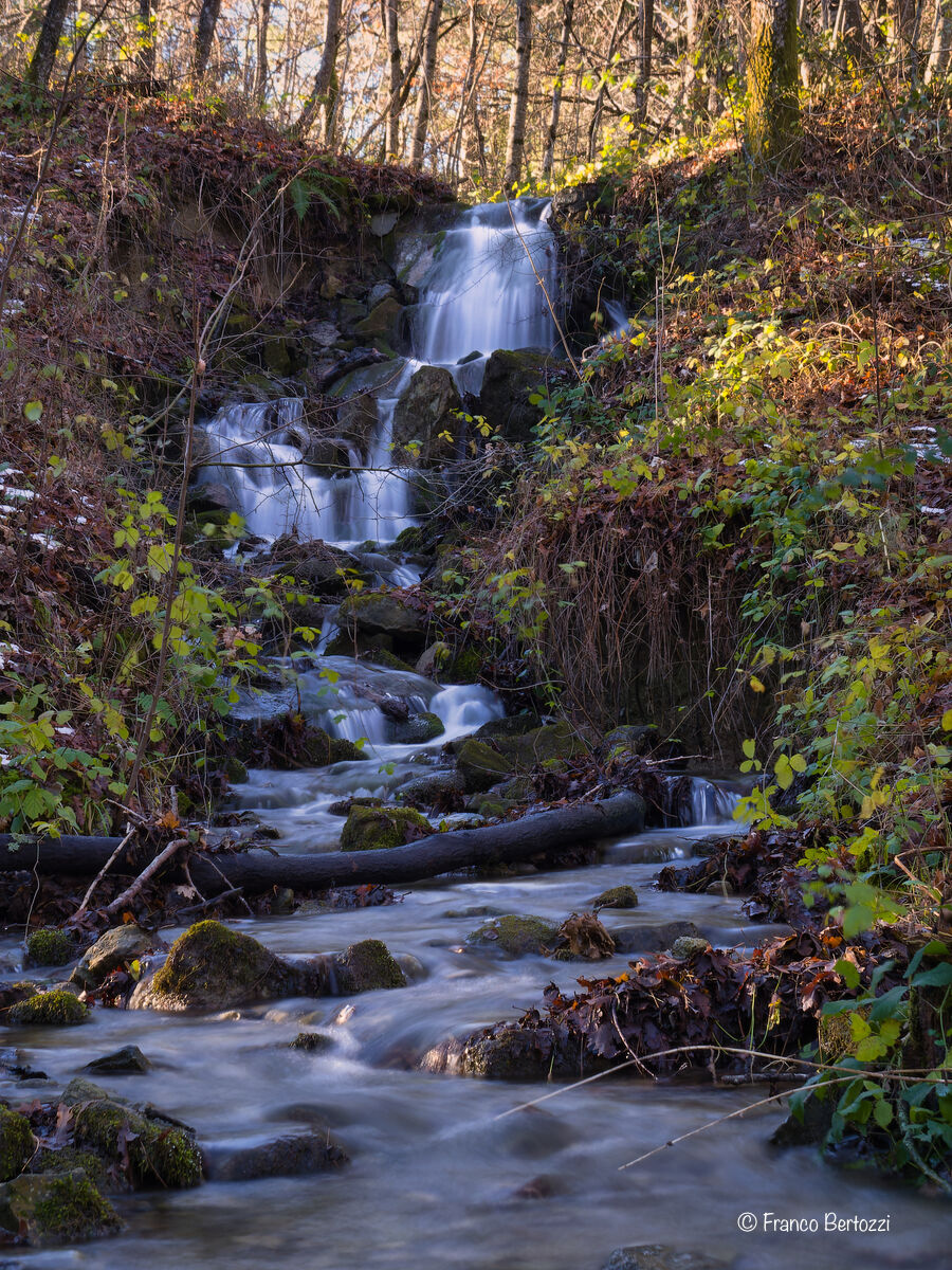 San Piero in Bagno, a small stream