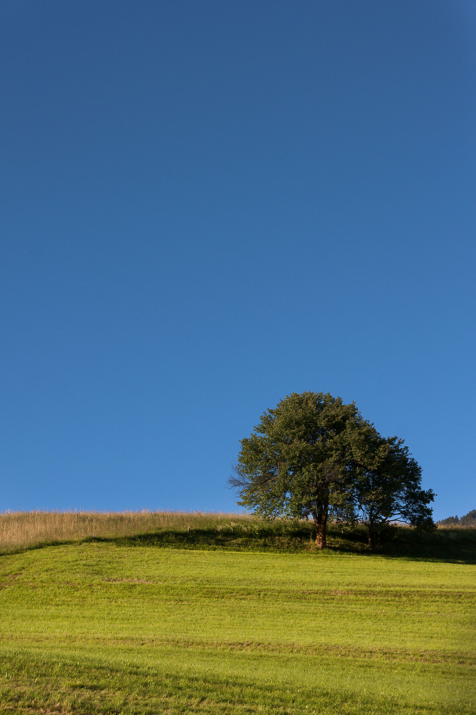 Towards the Alpe di Siusi
