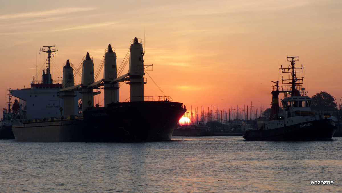 ...guardo le navi arrivar