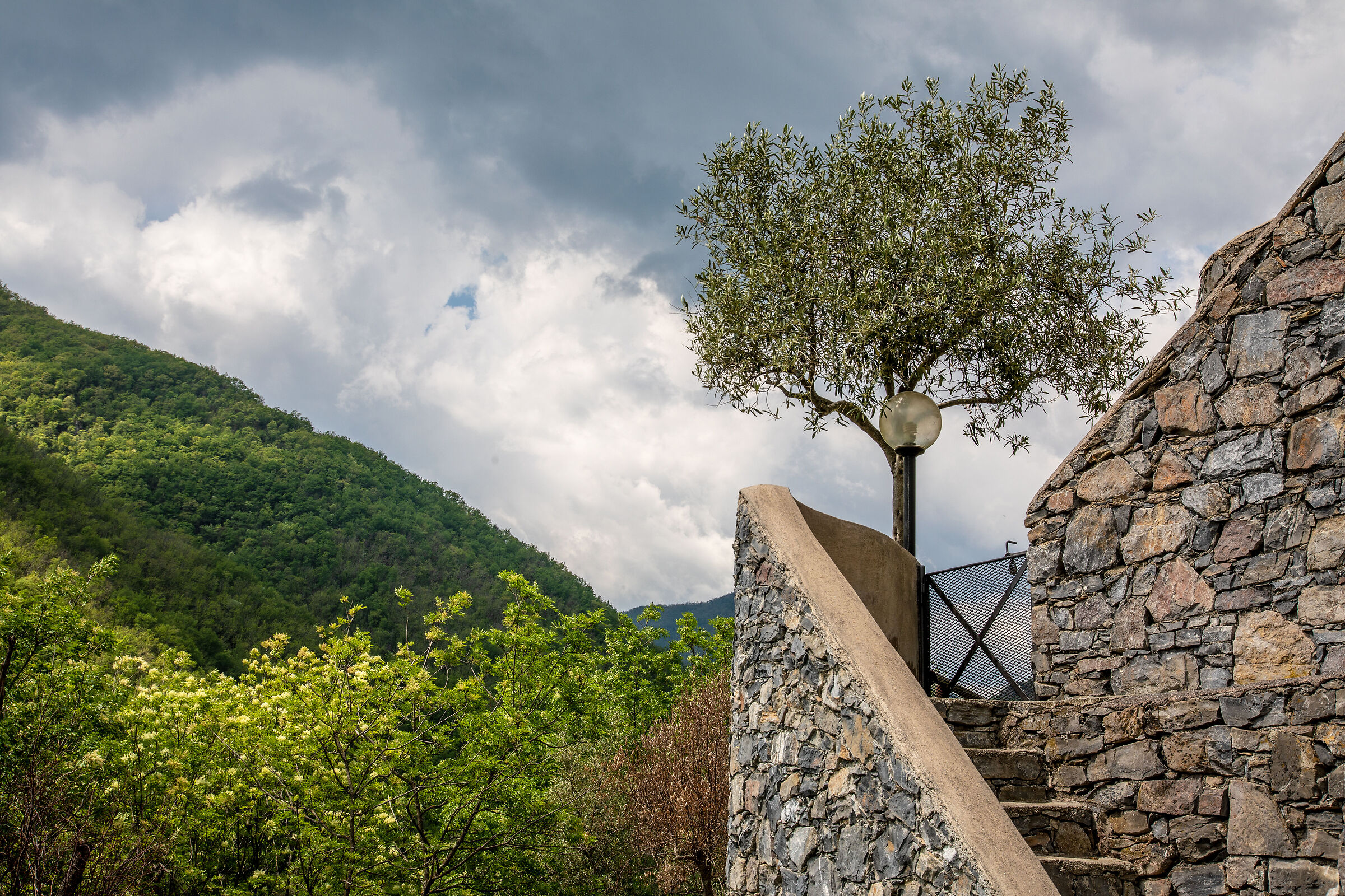 Collection of Castelbianco