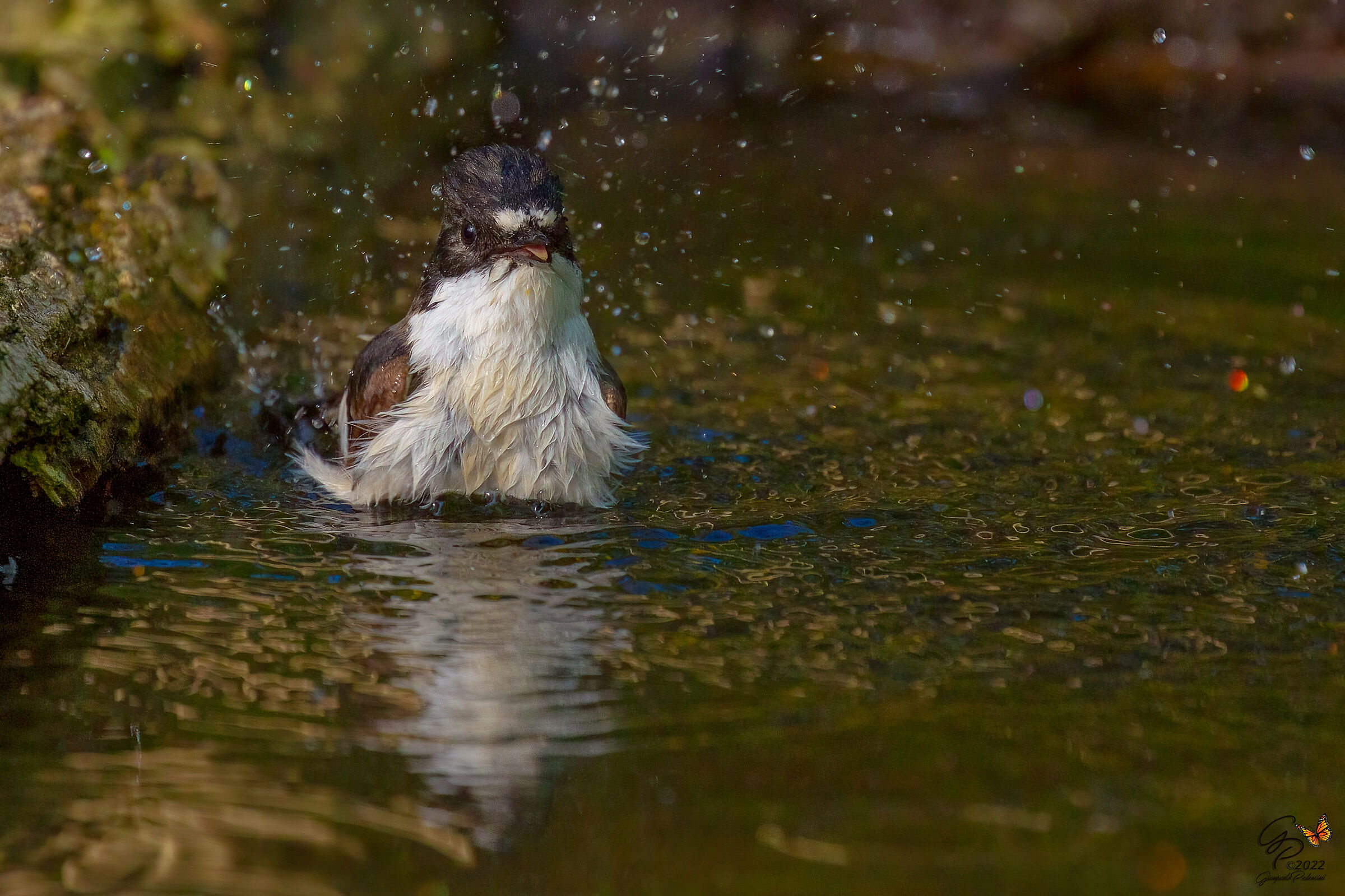 Il bagno della "balia"