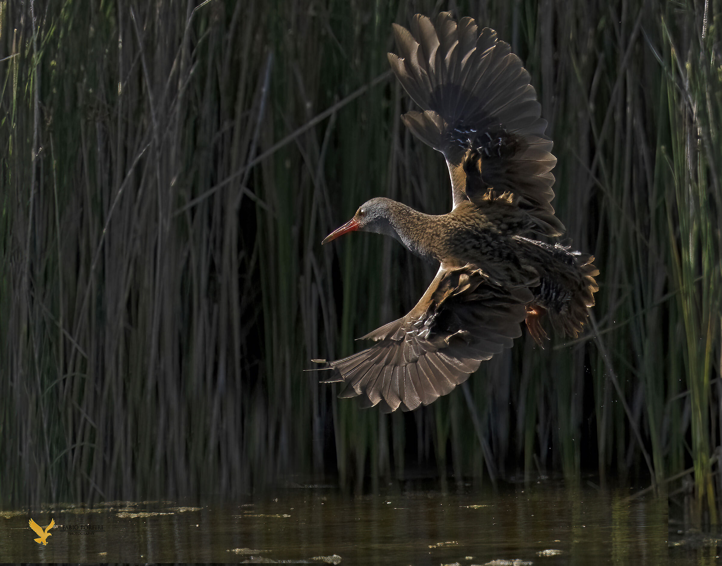 mentre aspetti .. improvvisamente davanti agli occhi