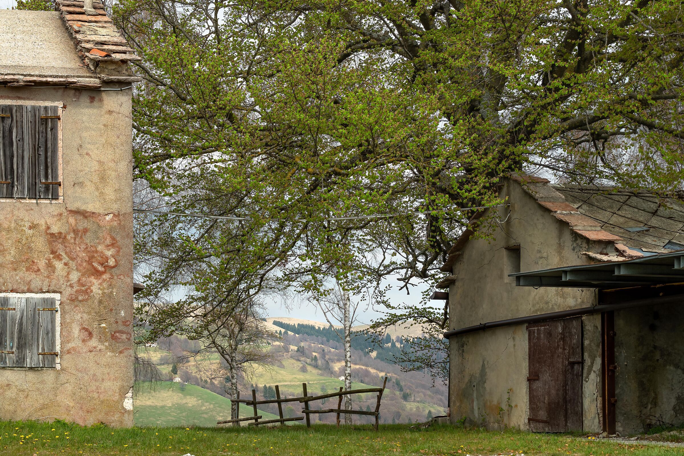 Scorci sull'altopiano del Grappa