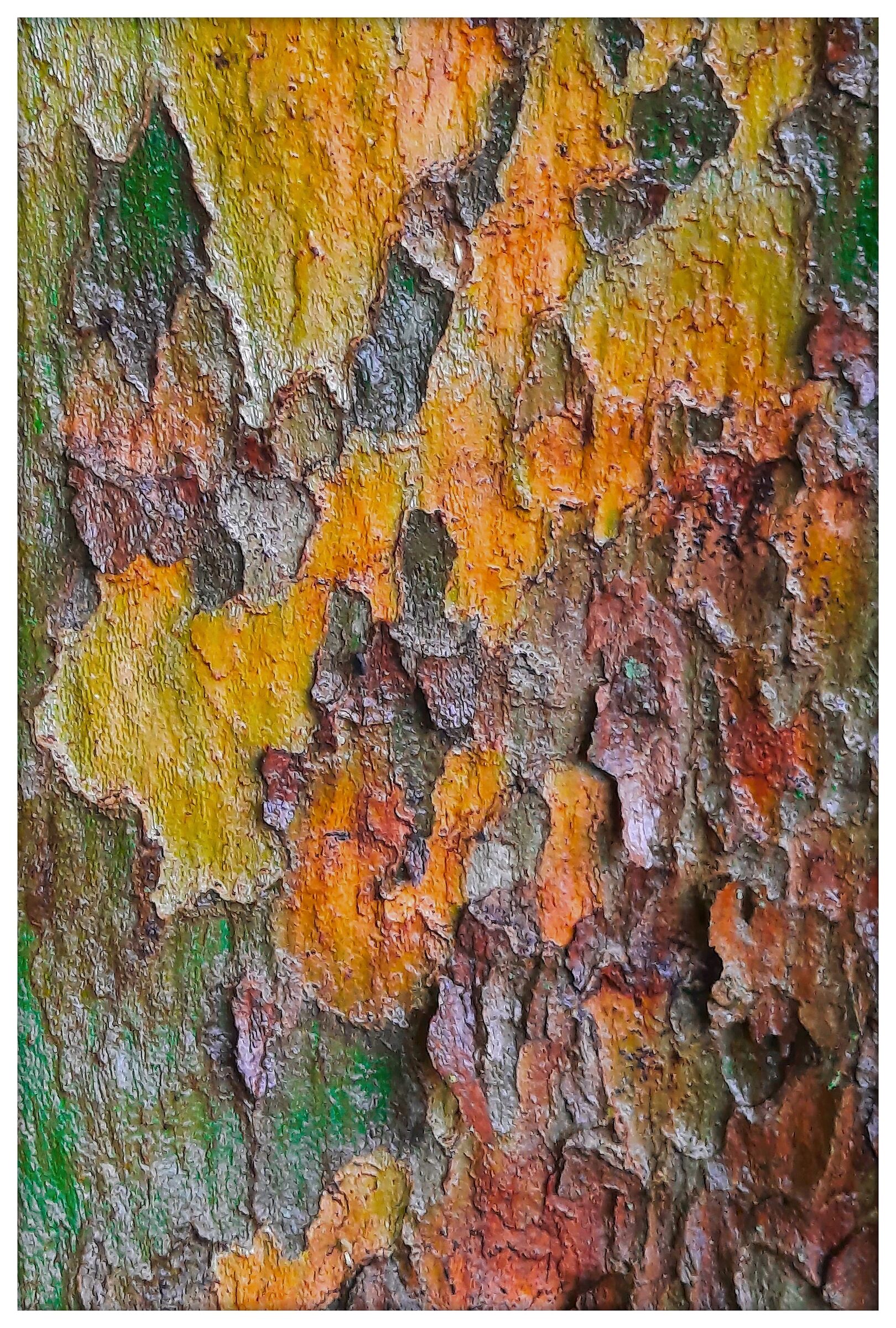 Cromatismi  Arborei