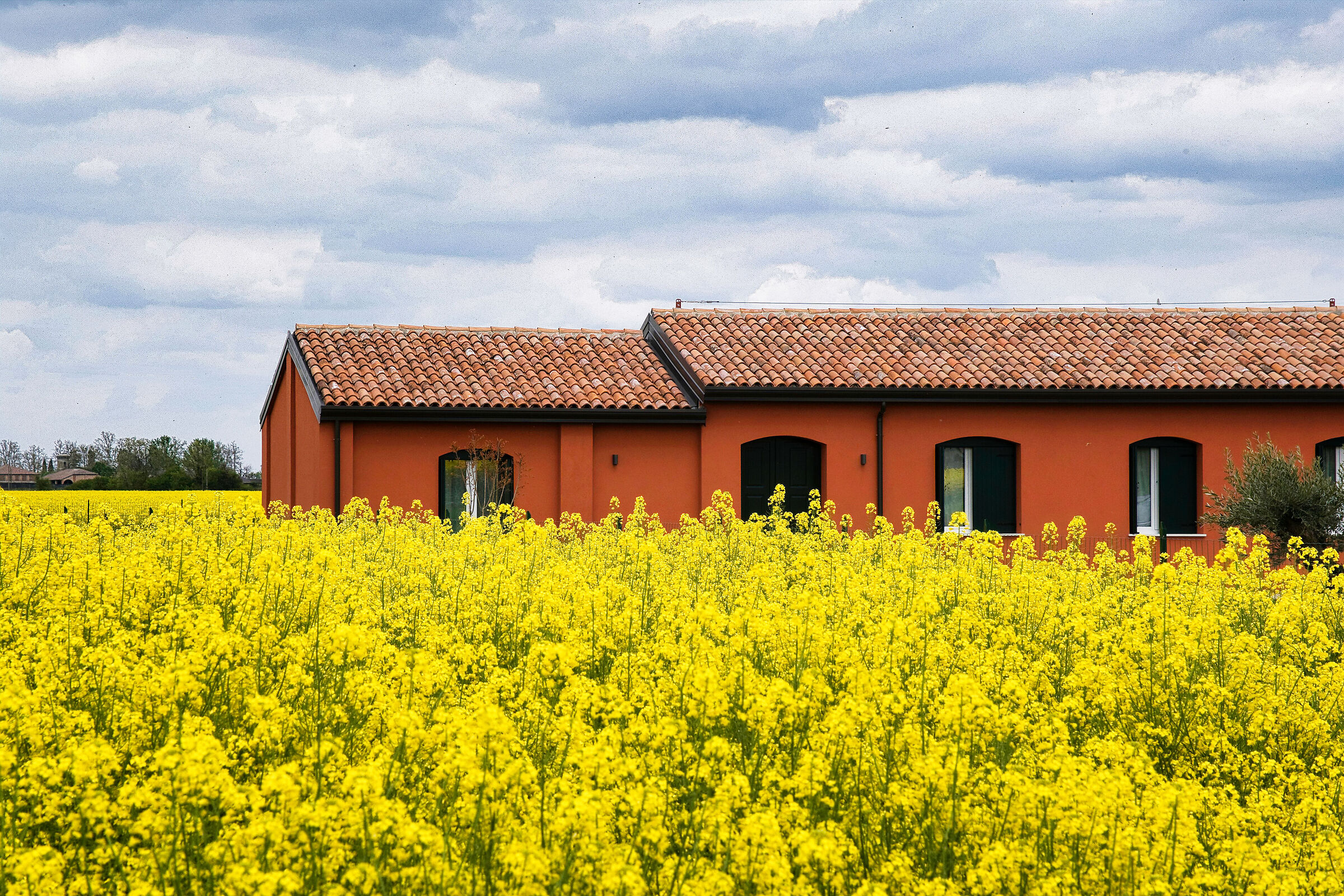 At the gates of Ferrara