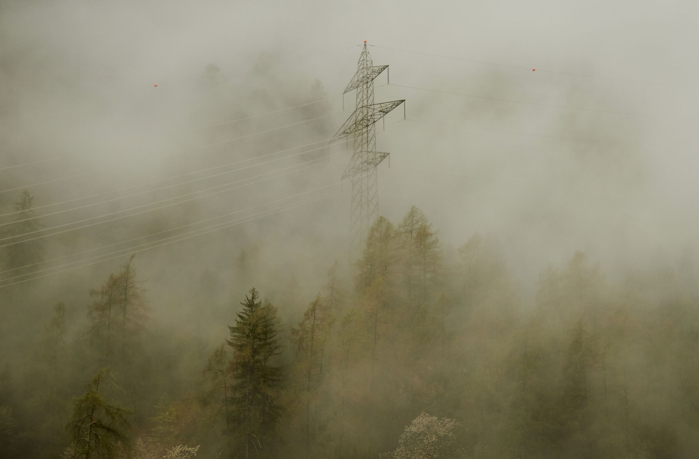 Trellis in the clouds