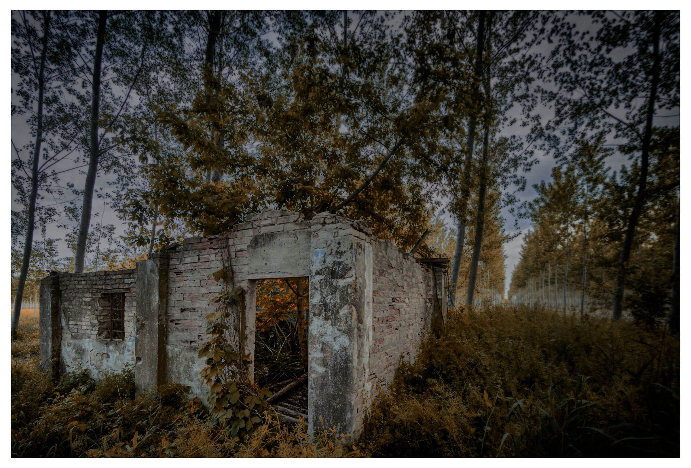 The witch's villa
