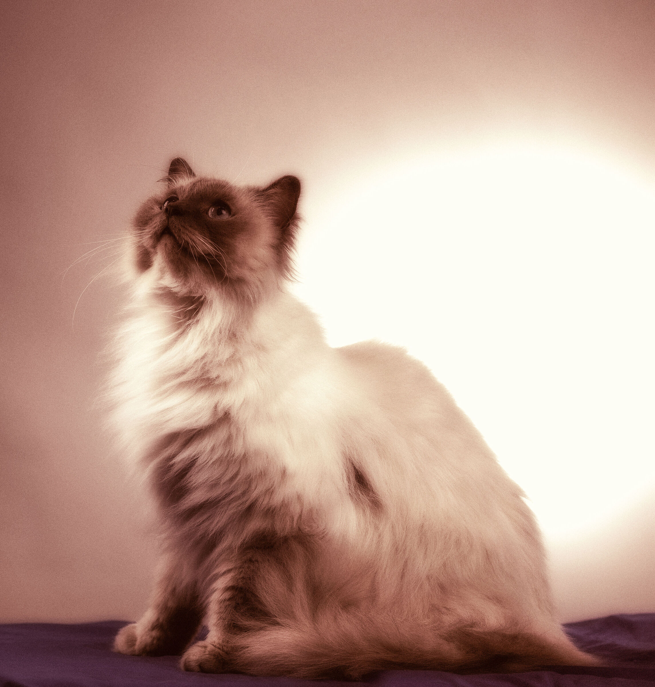 Untitled Photo