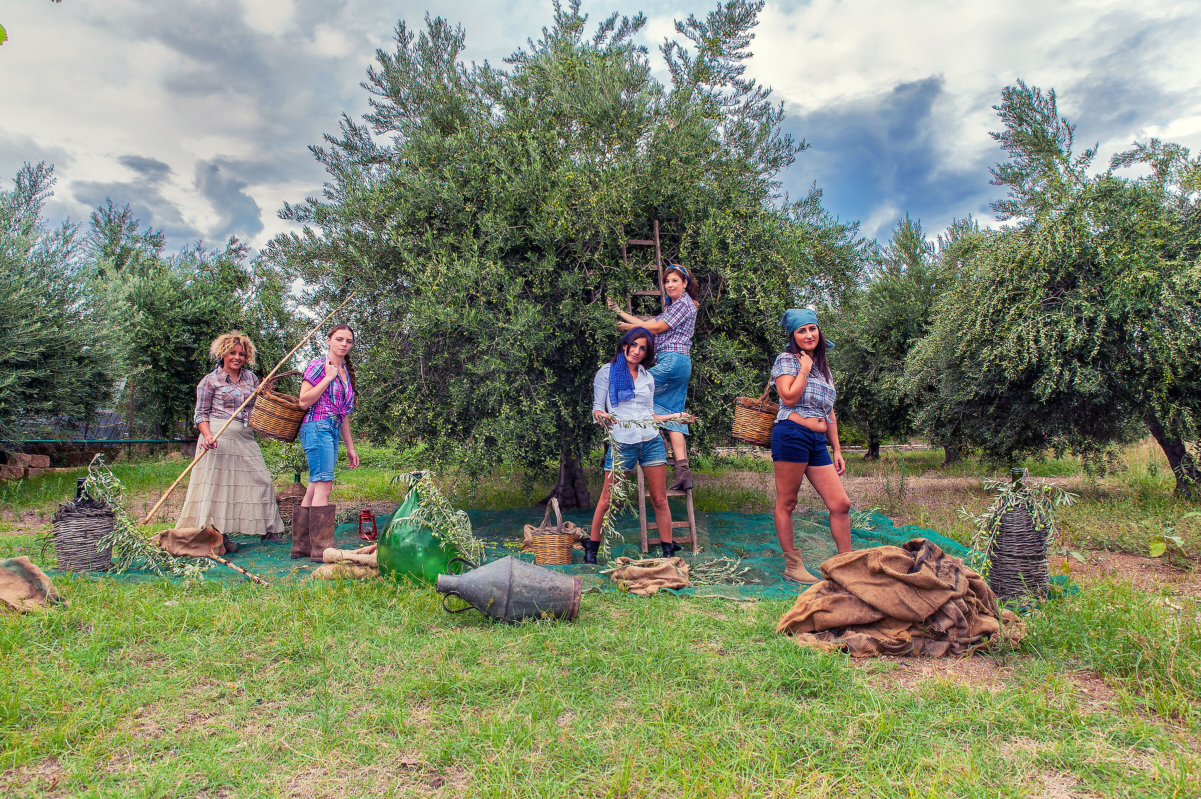 La raccolta delle olive