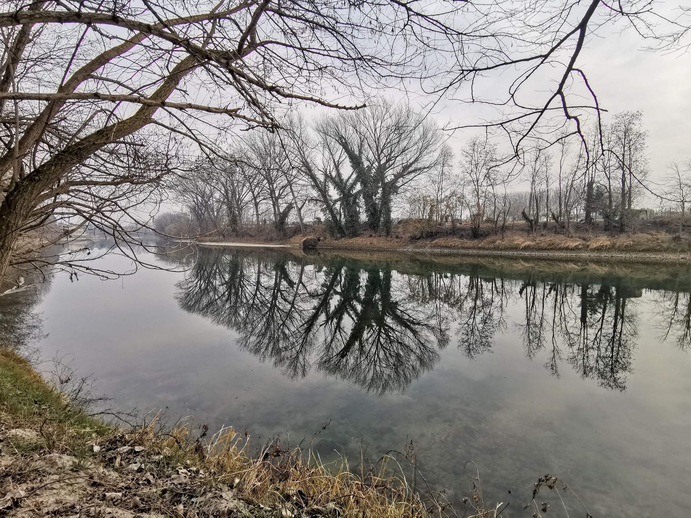 Lungo Adige Pescantina