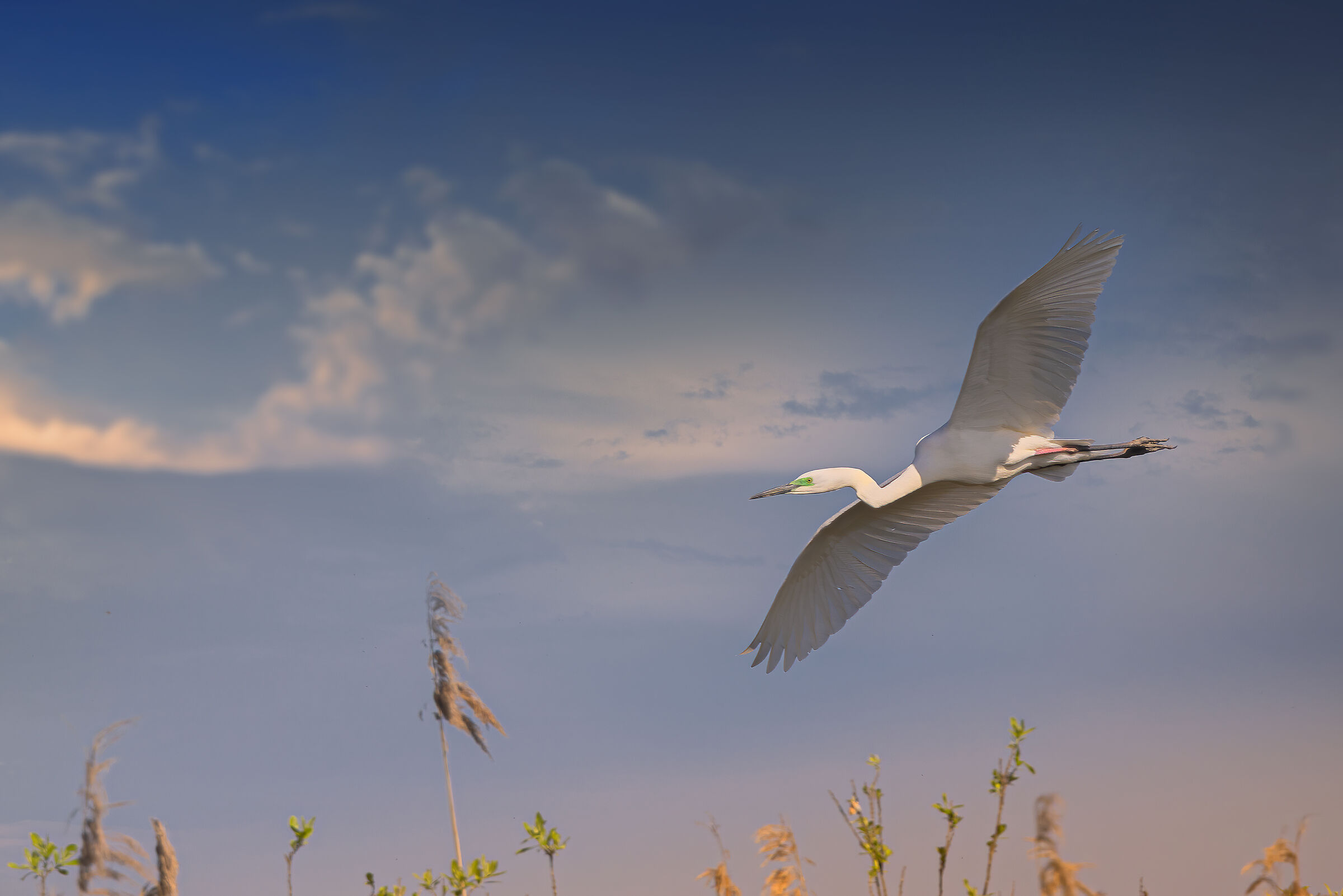 Incontri nel Parco del Mincio (mn)