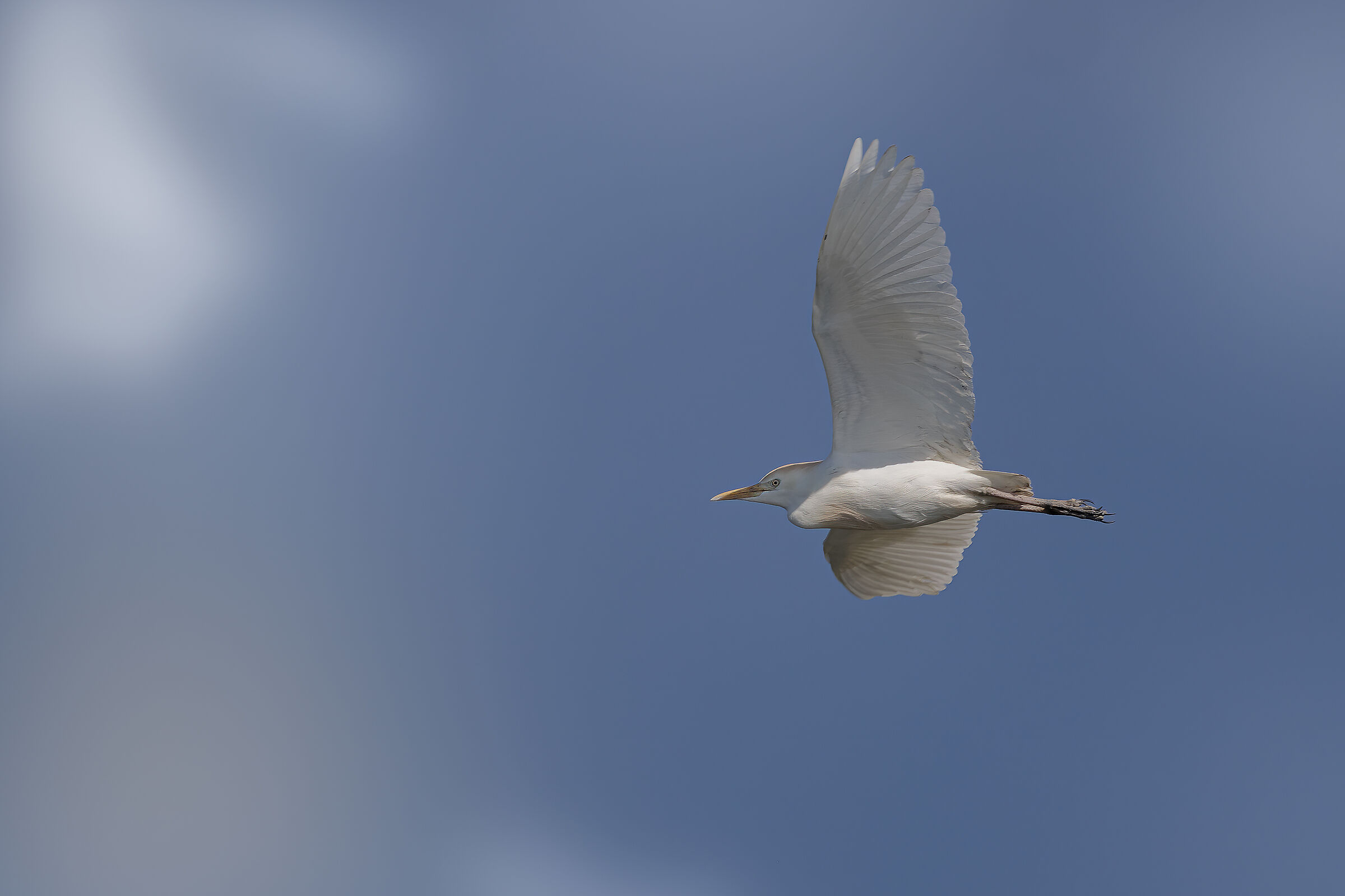 Incontri nel Parco del Mincio (mn)