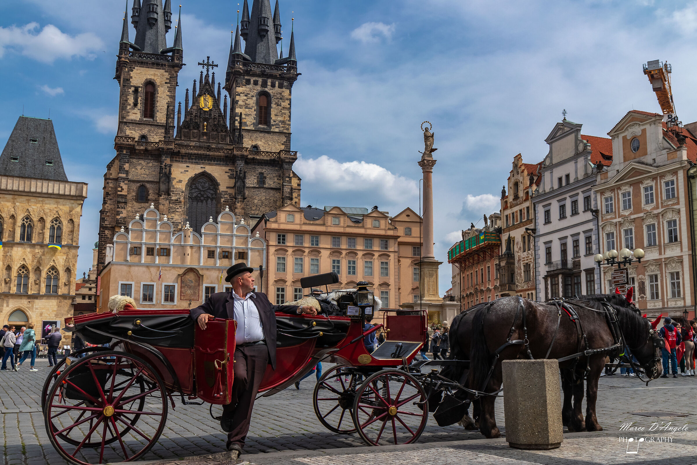 Cavalli e cocchiere, old town square