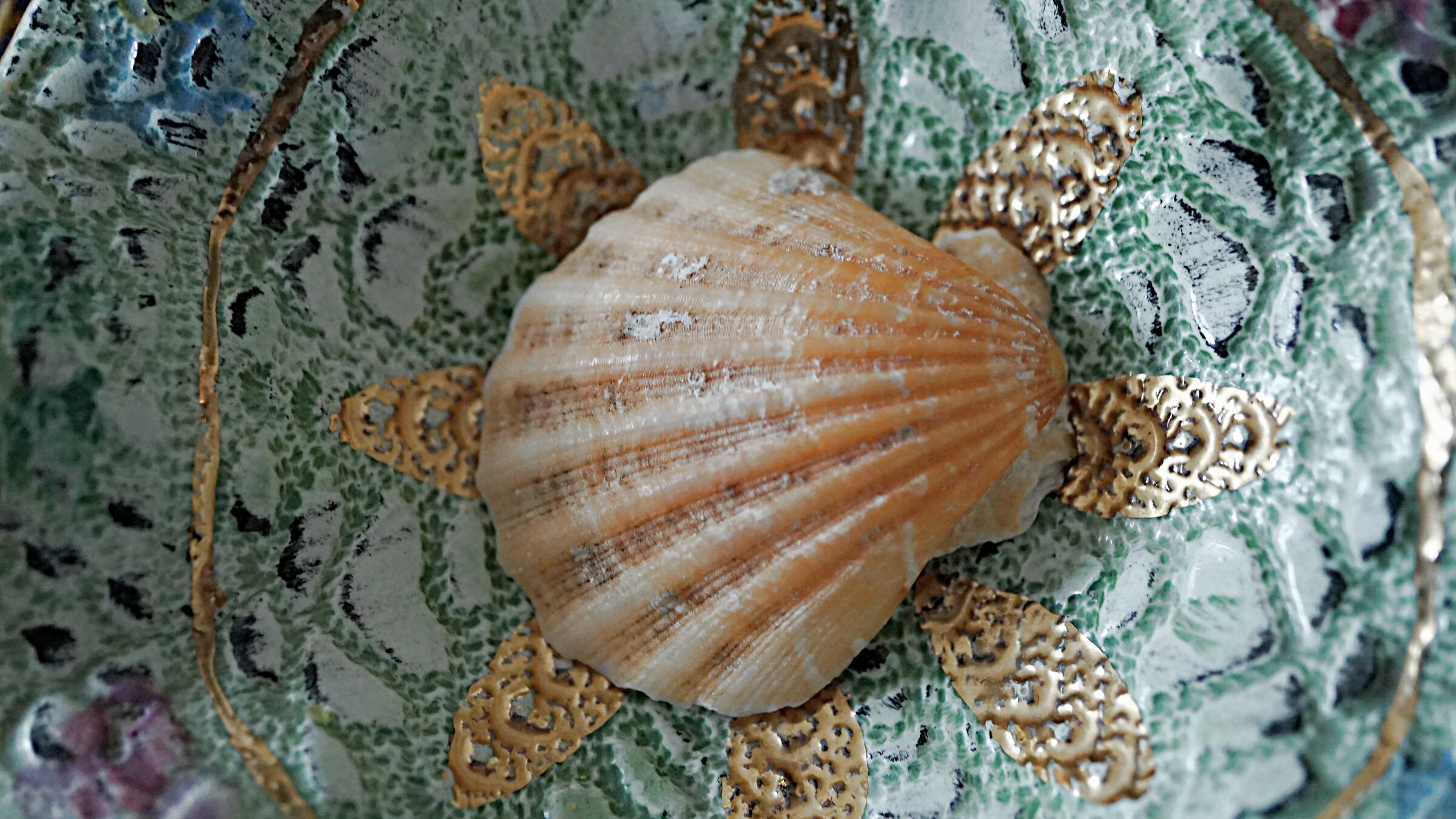 conchiglia