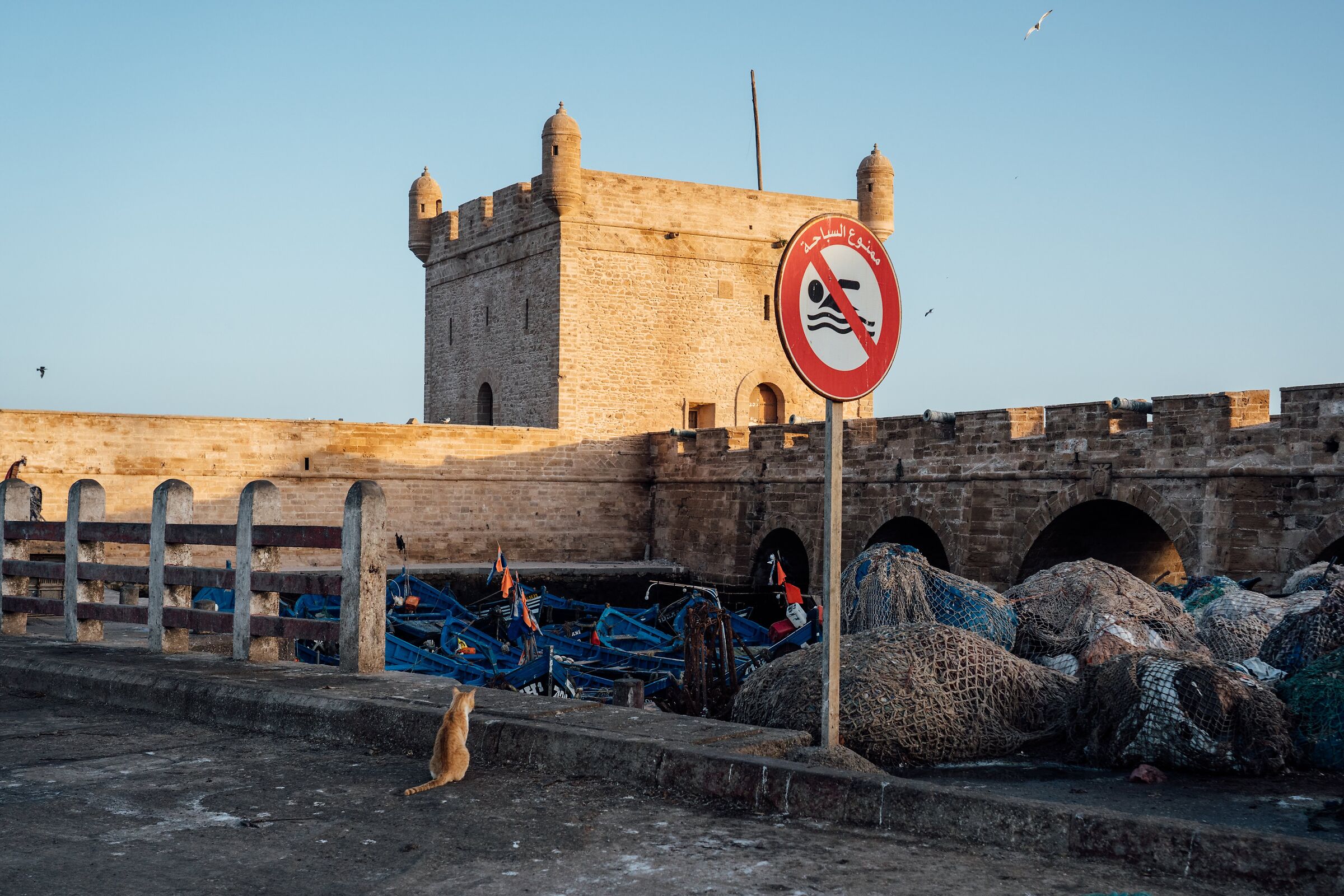 Essaouira, port at dawn