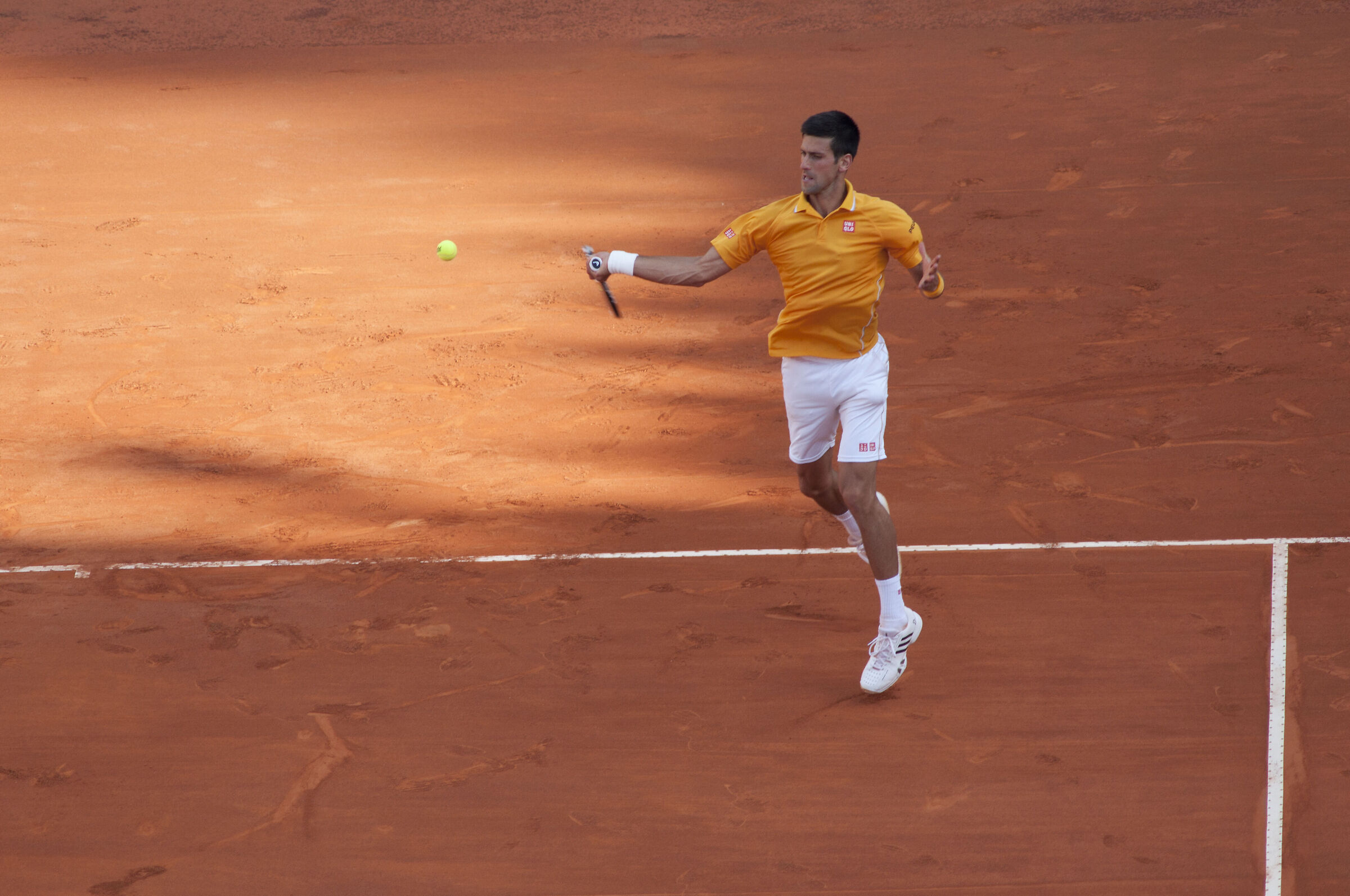 Re Djokovich (2015)