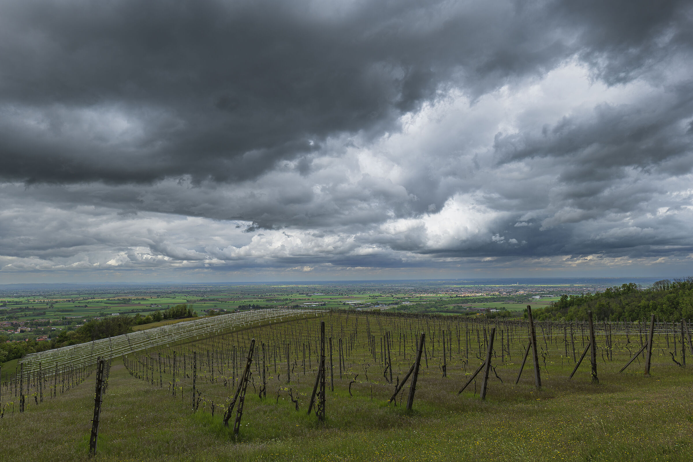 La pianura Padana con le Sue colline e le Sue vigne