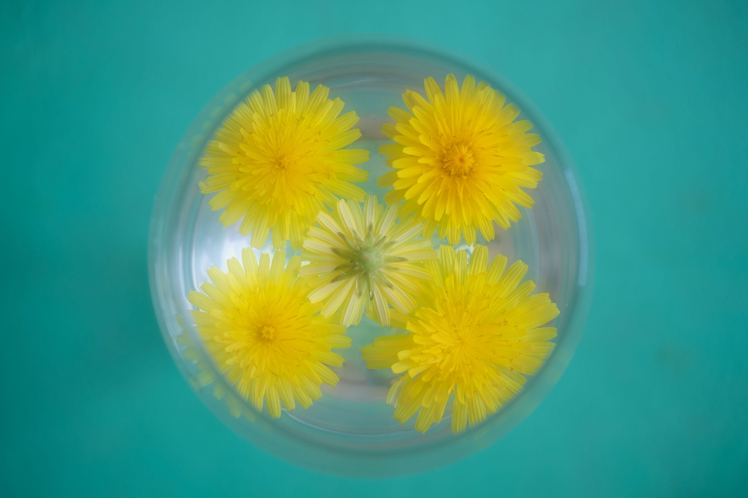 A SIP OF SPRING