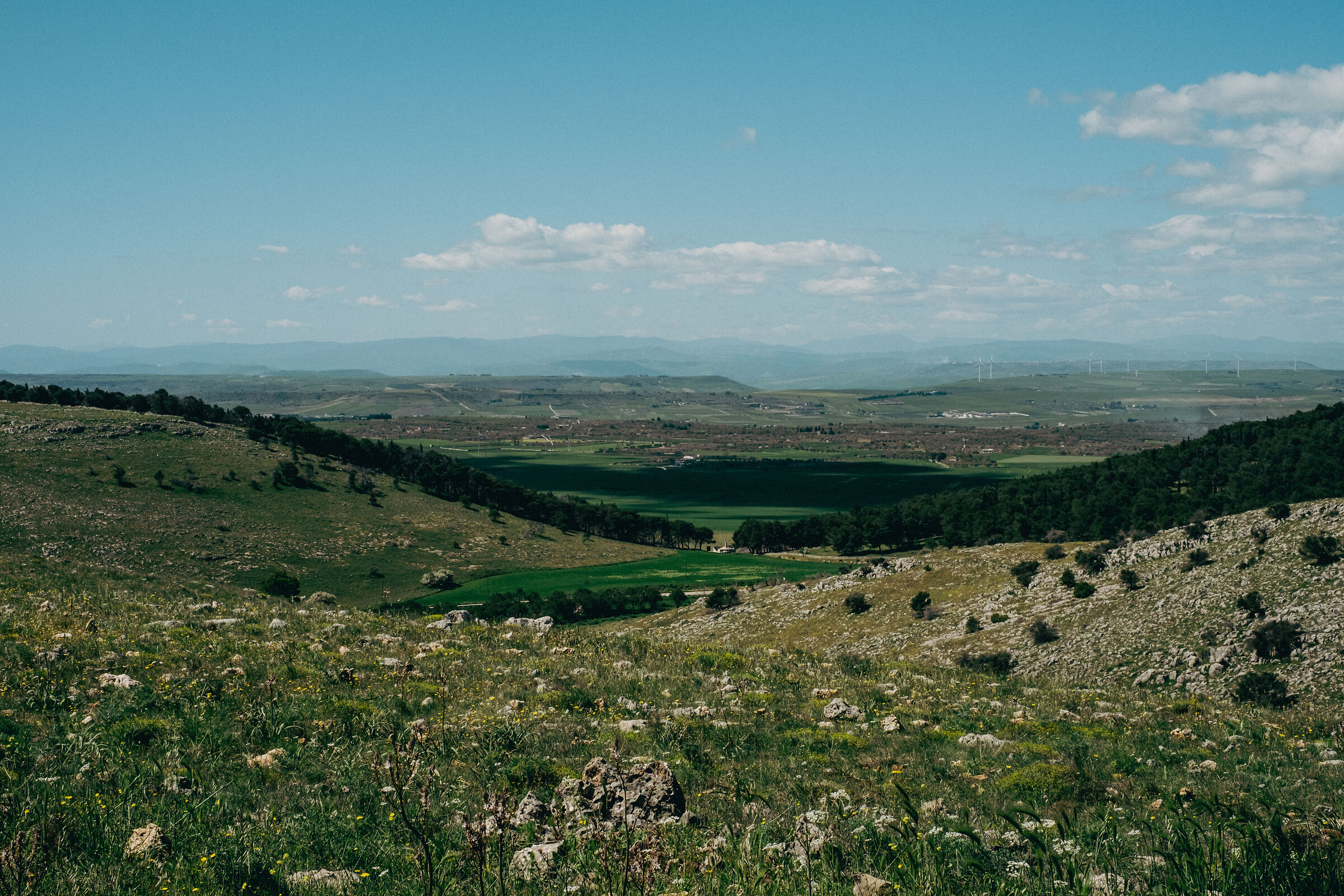 Nei pressi di gravina. (in Puglia)