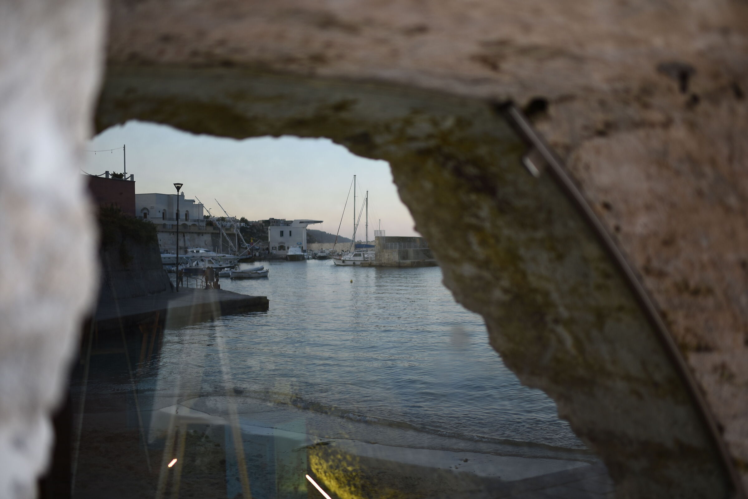 F. 1.4, 1/ 350, ISO 125 / Otus Zeiss 28, 1.4
