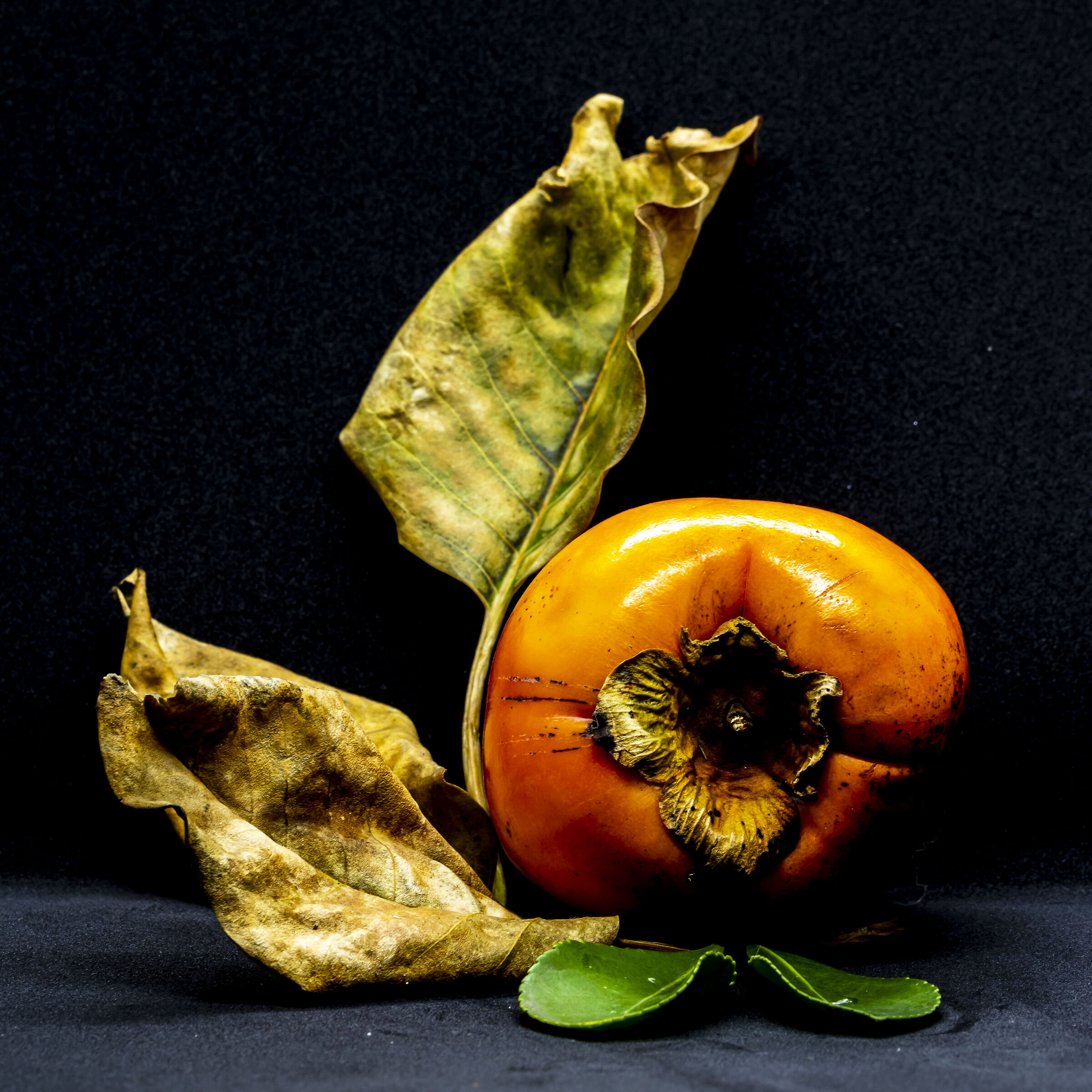 autunno