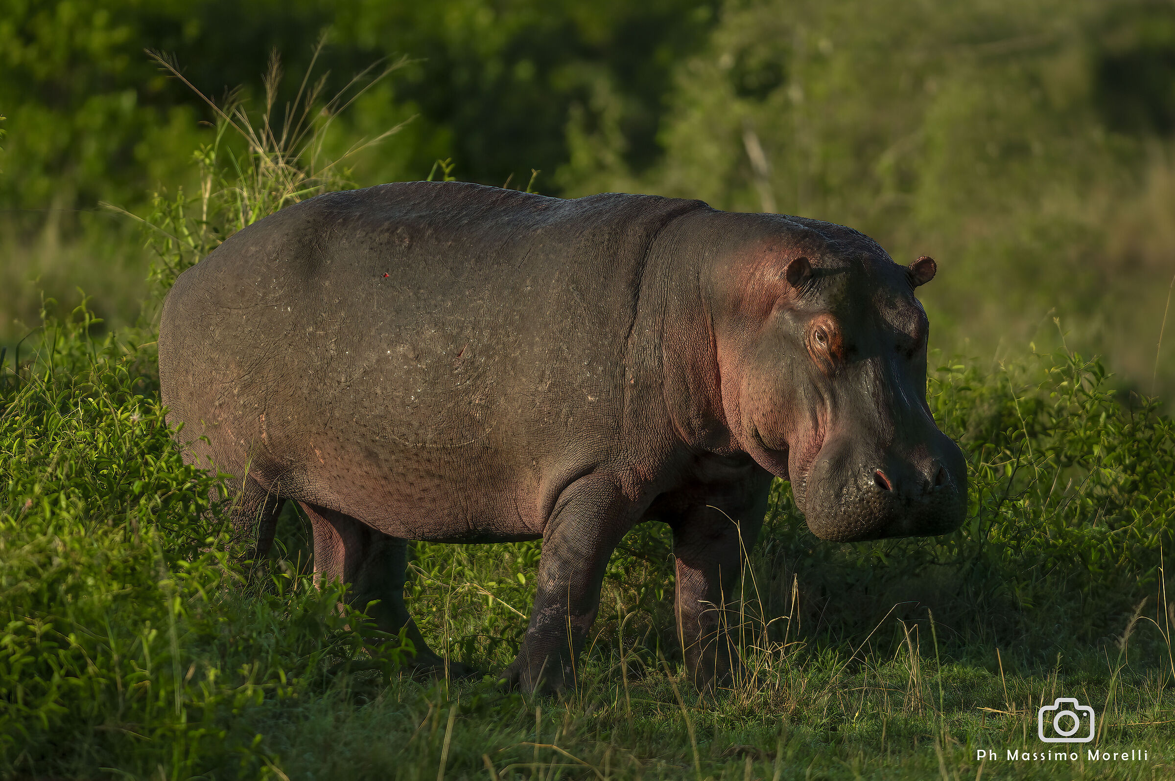 I'll keep an eye on you...