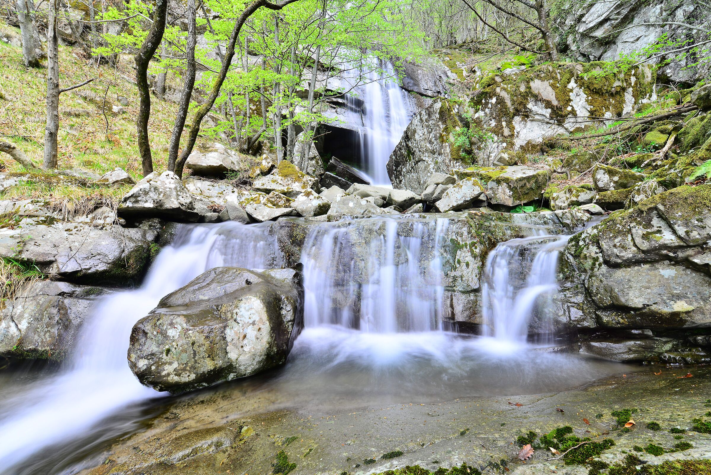 Torrent Acquetta