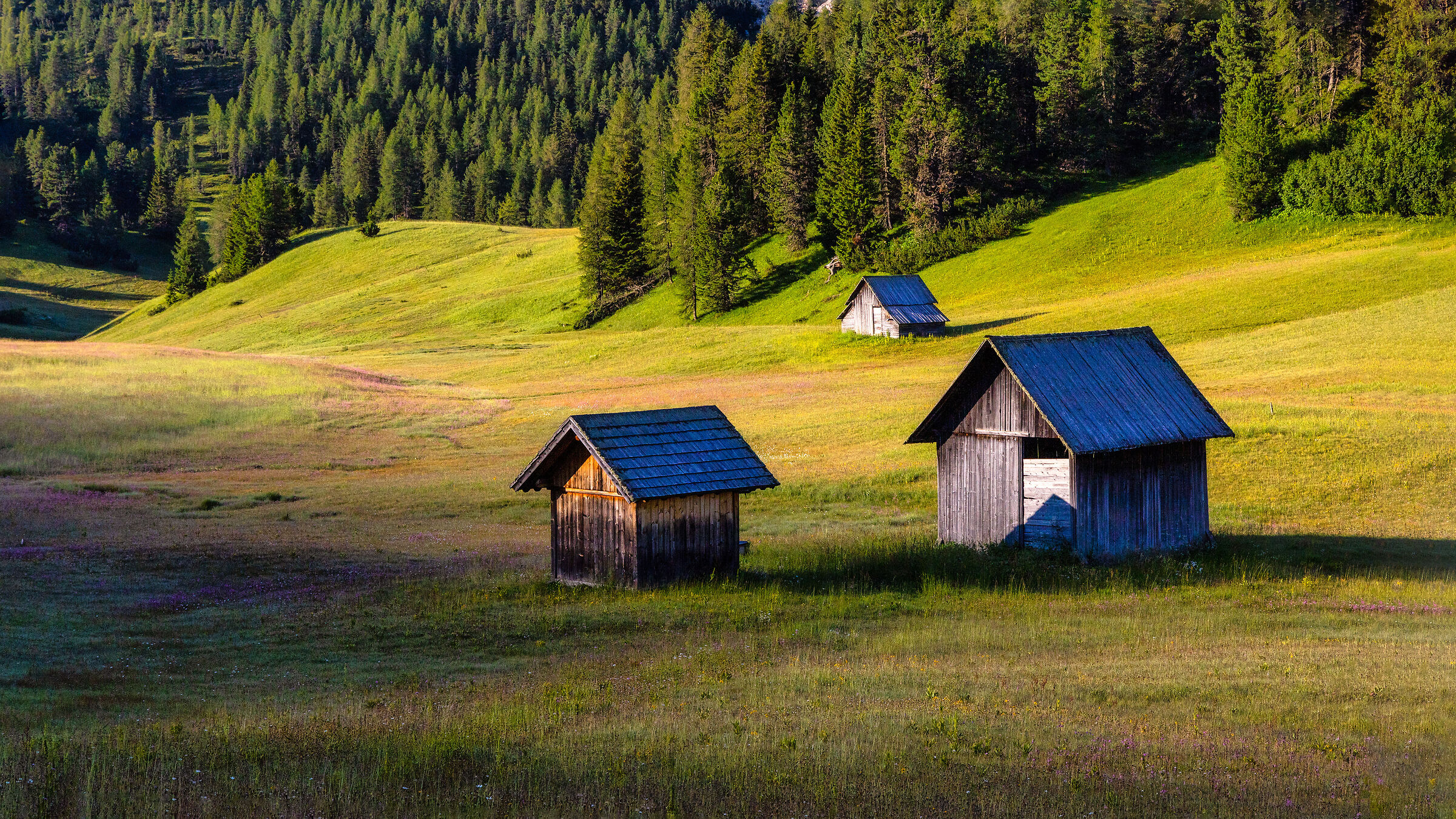 Alpine huts