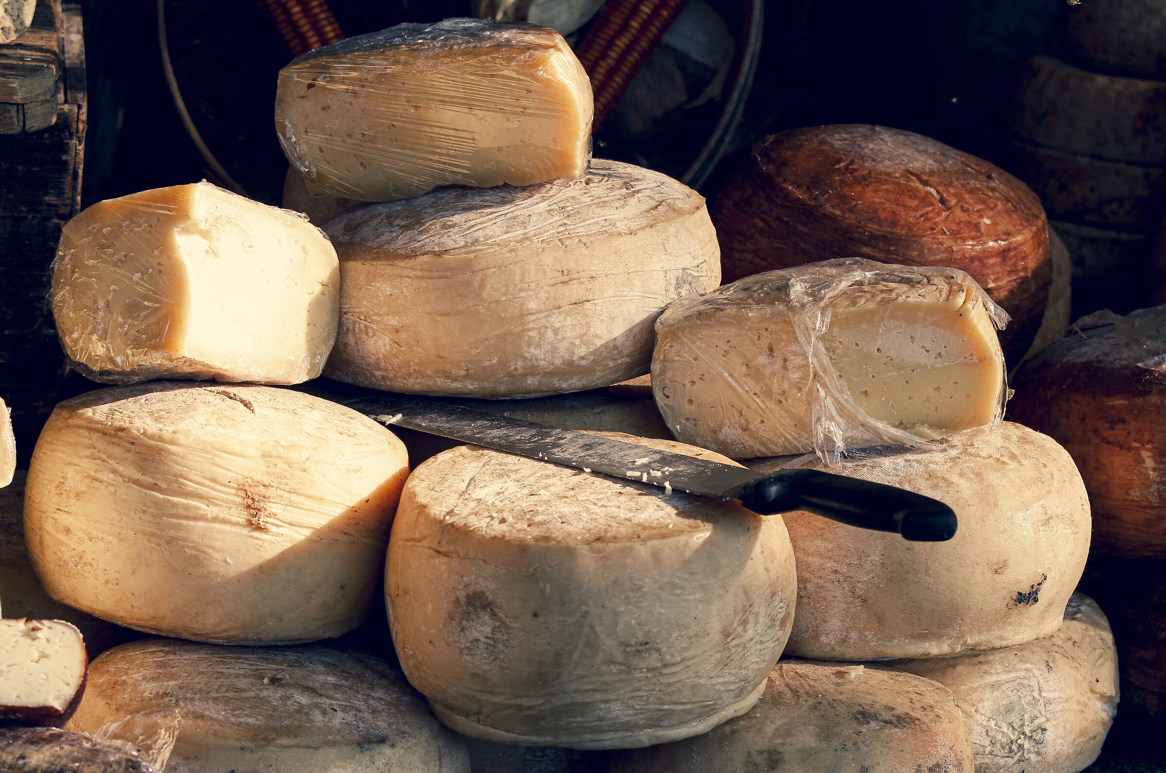 colesterolo , pusssa via...