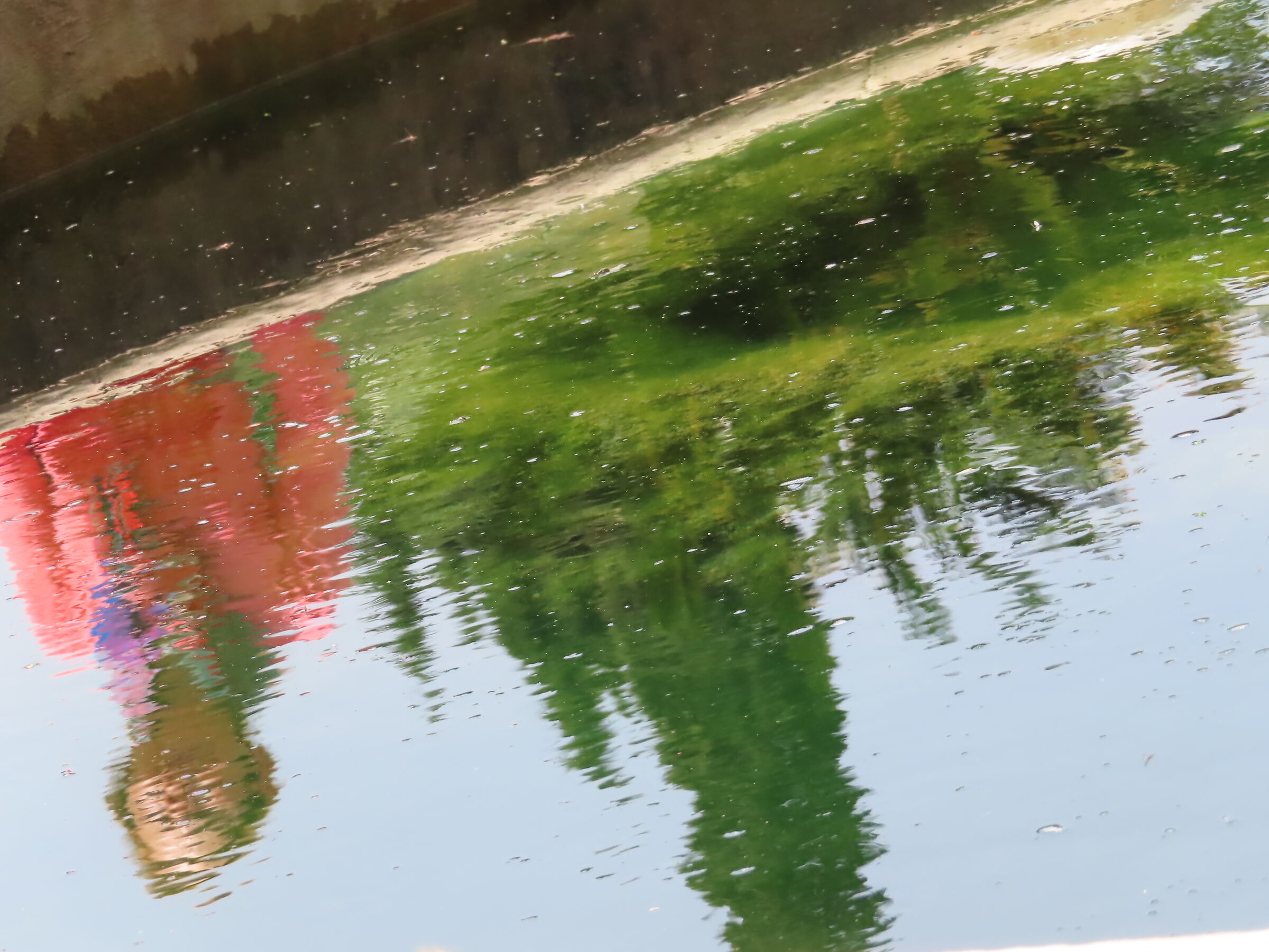 watermirror