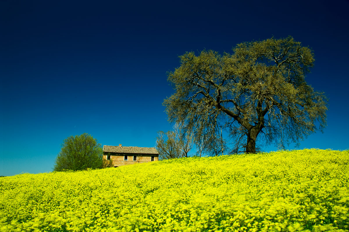 e il naufragar m'è dolce...in questo mare.