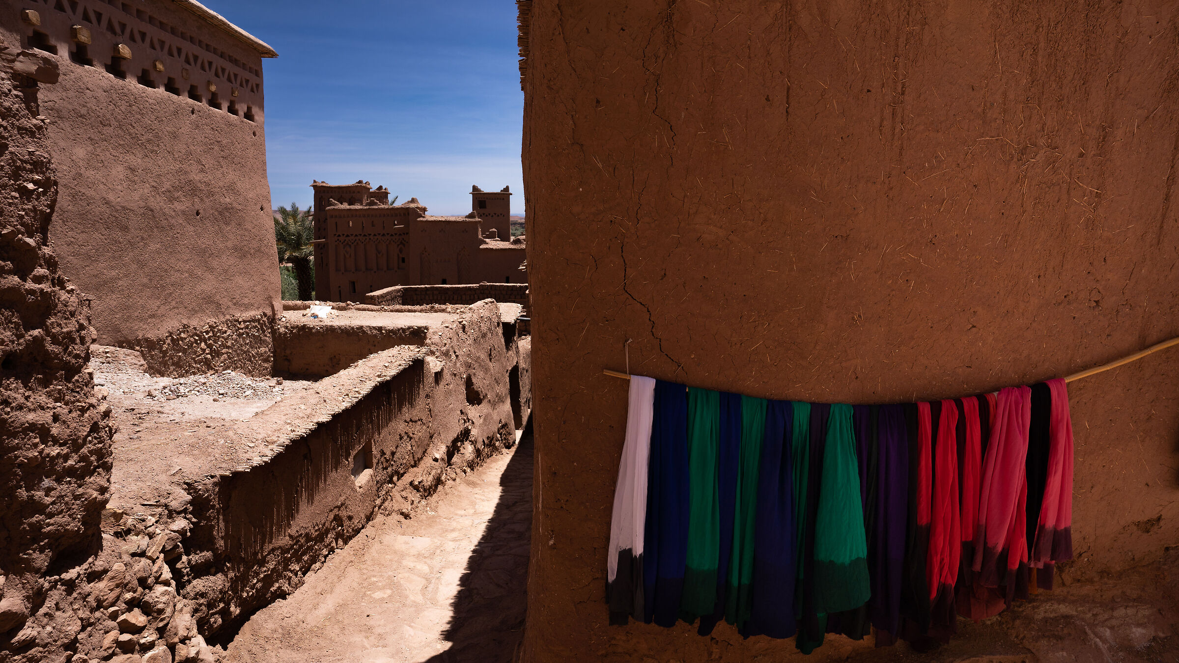 Pashmina Colors