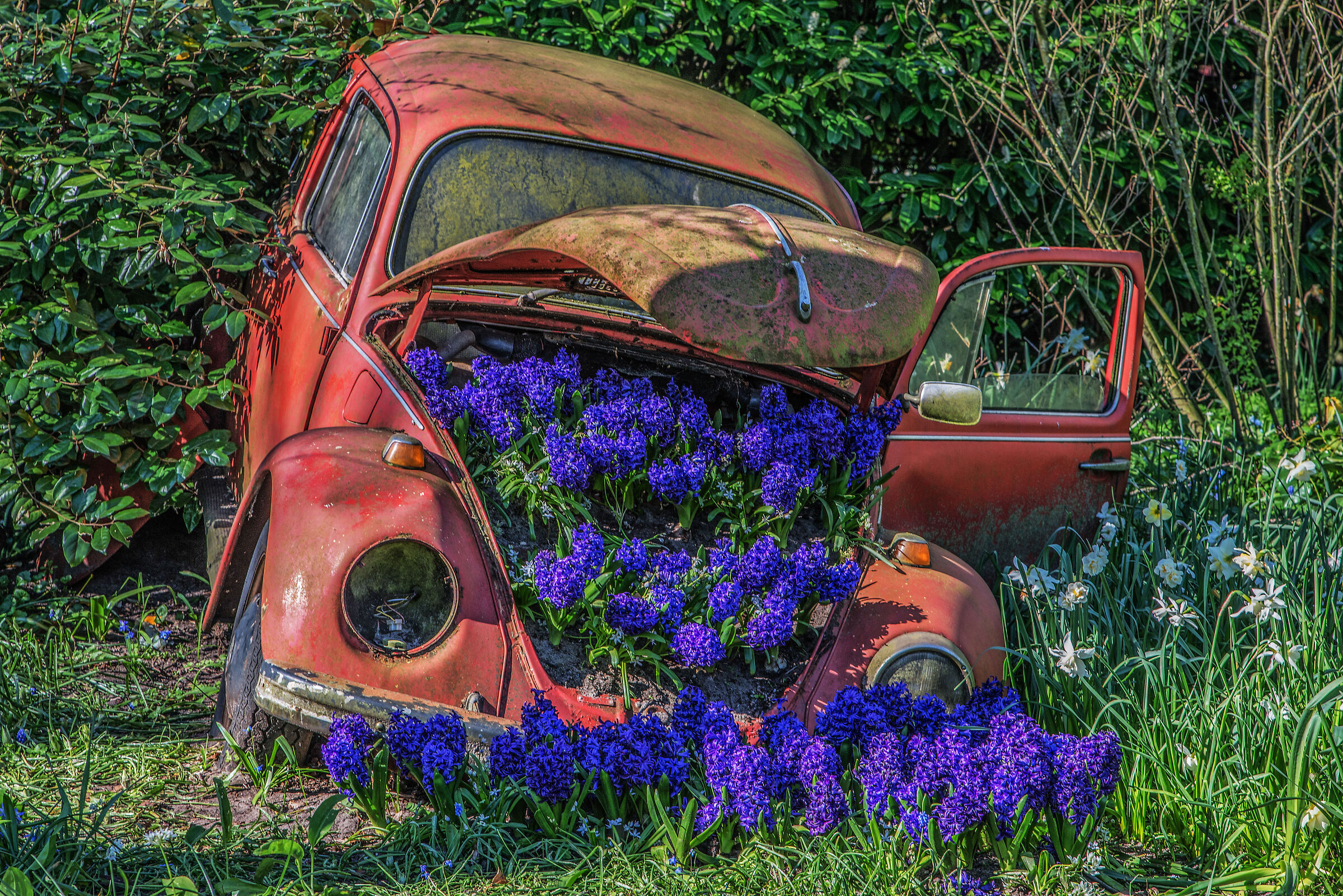 il motore ecologico