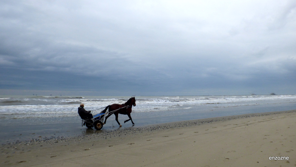 il mare d'inverno