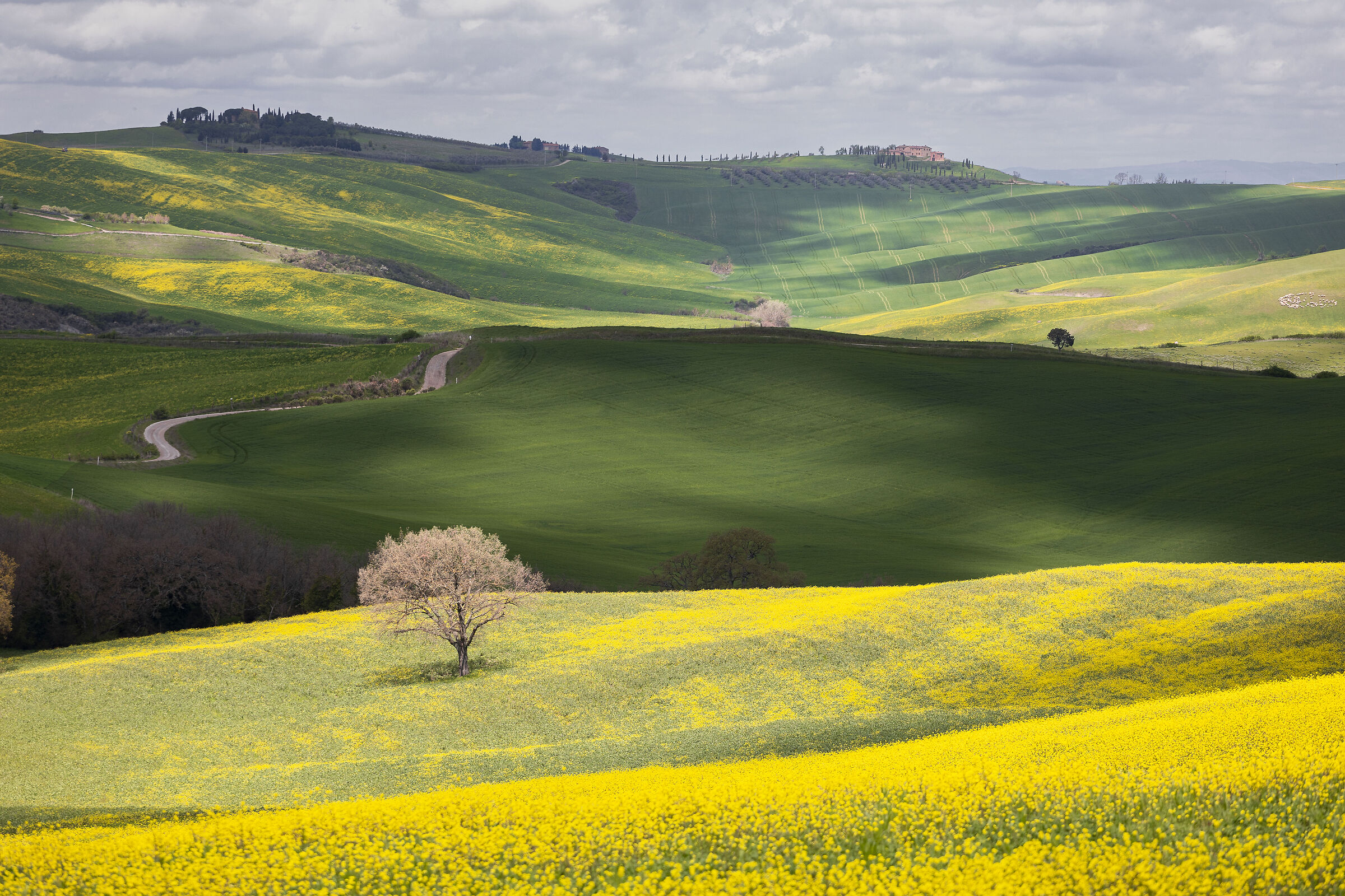 Val d'Orcia