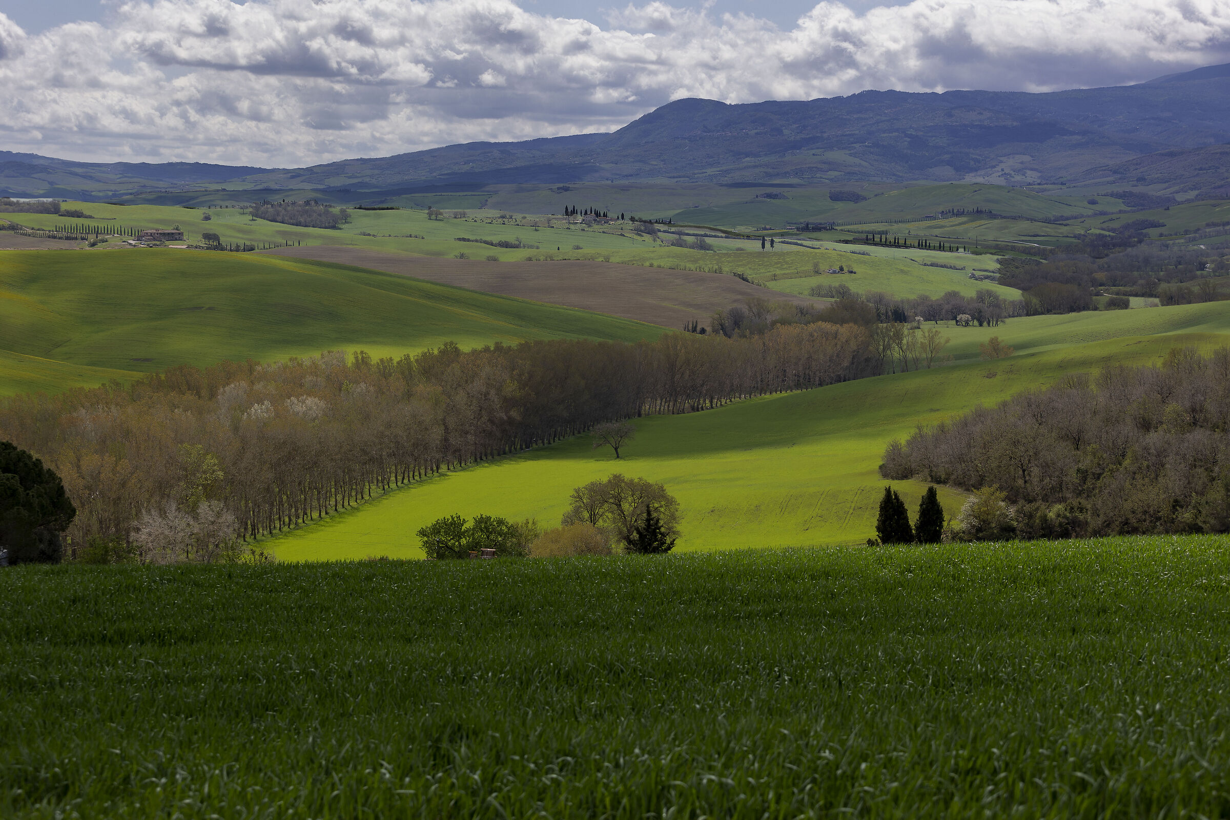 Val d'Orcia
