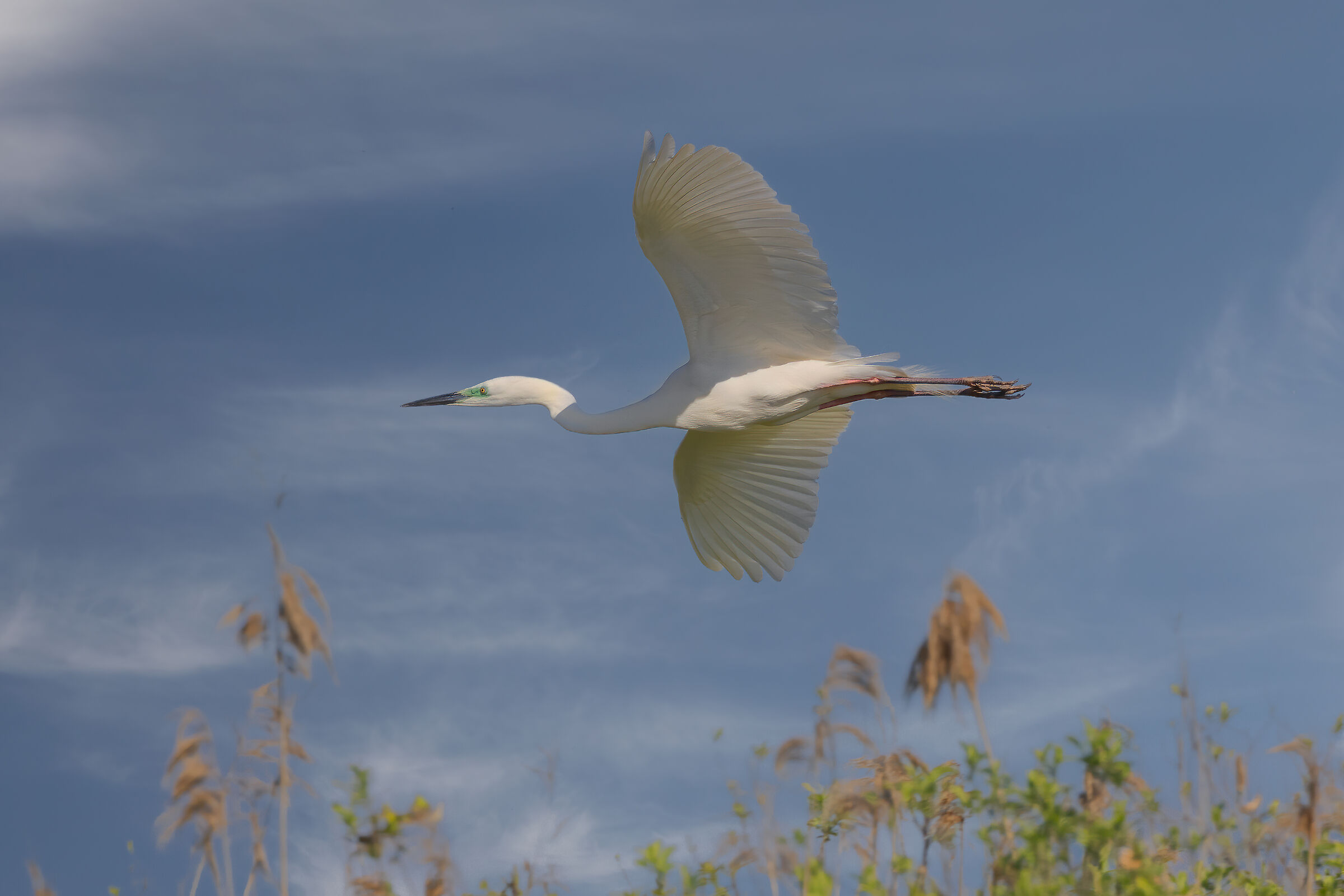 Incontri nel Parco del Mincio (mn)