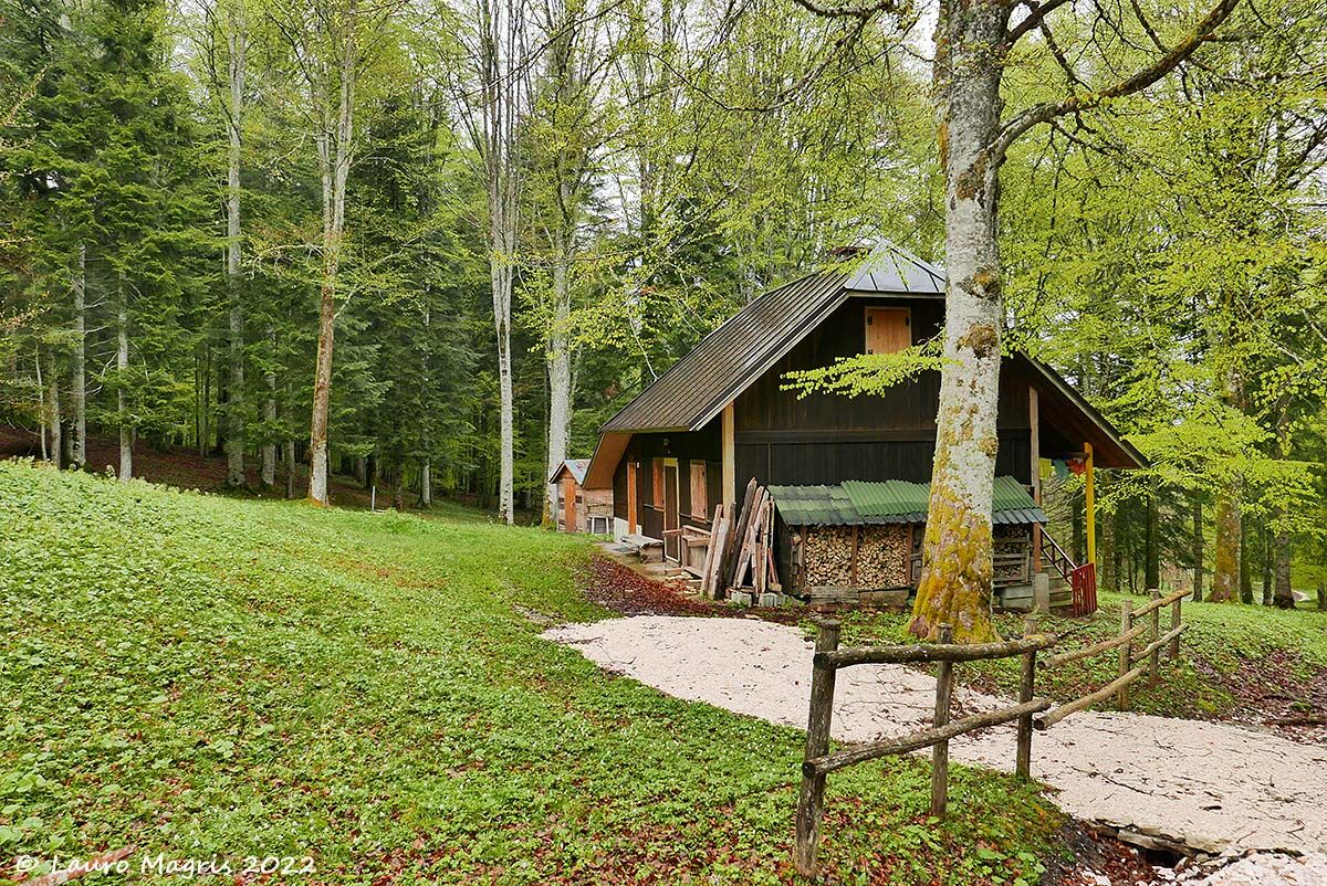 Sotto una leggera pioggia