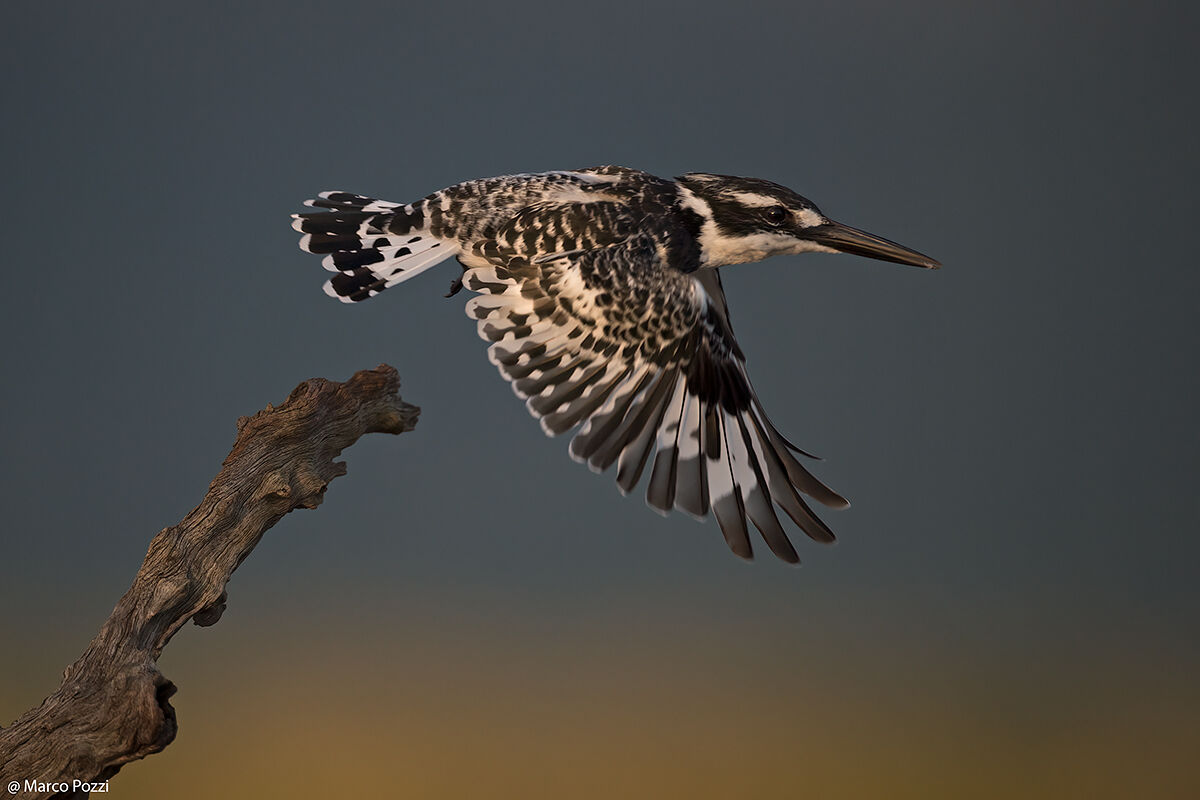 Take off