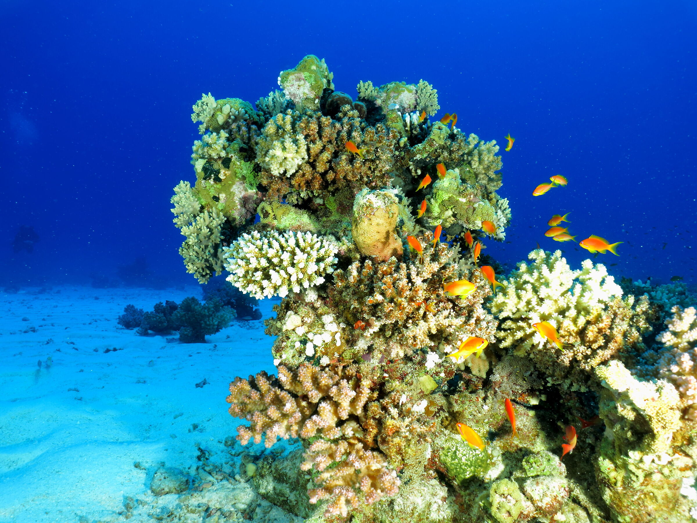 Marsa Alam