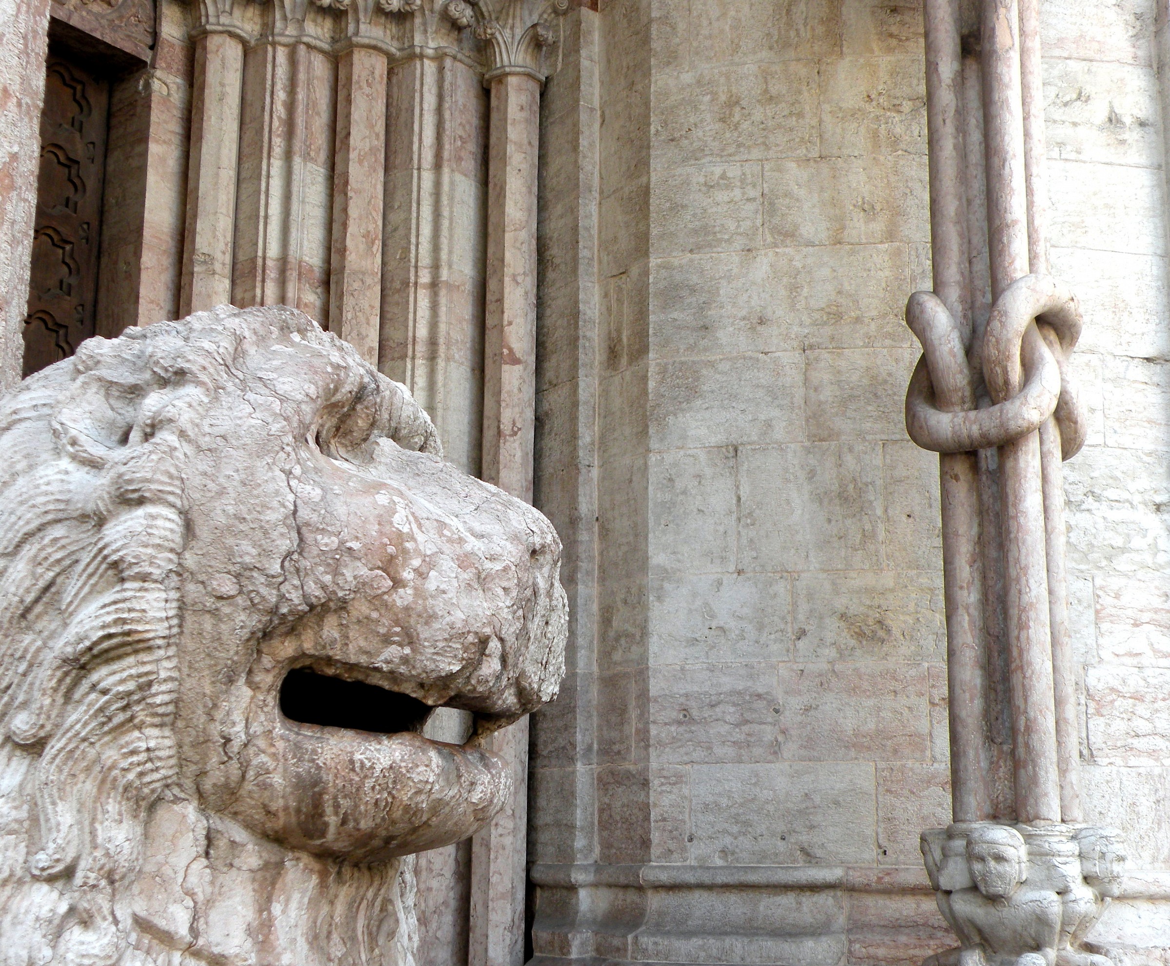 Il leone e la colonna annodata