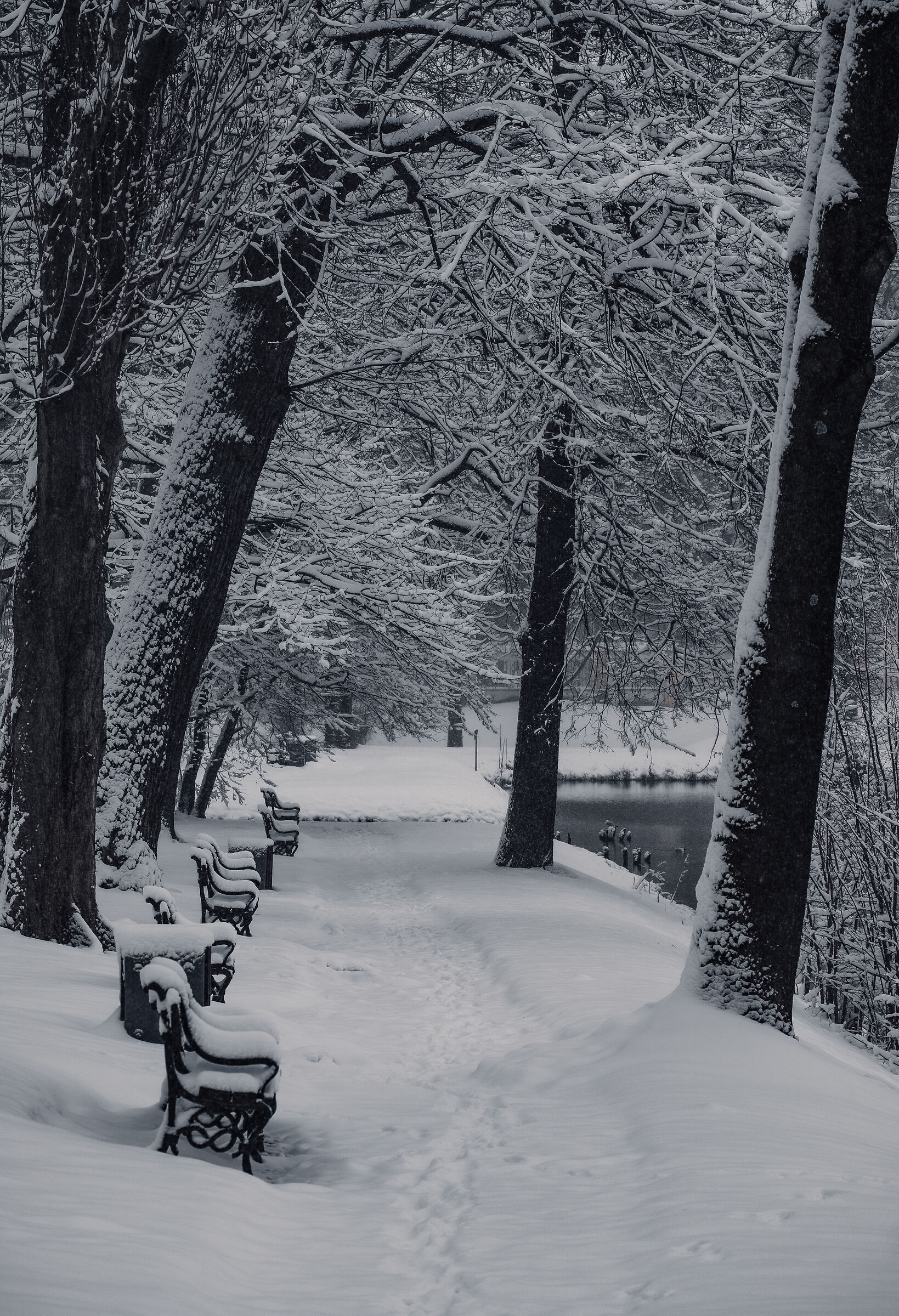 Winter in Bia&lstrok;ystok