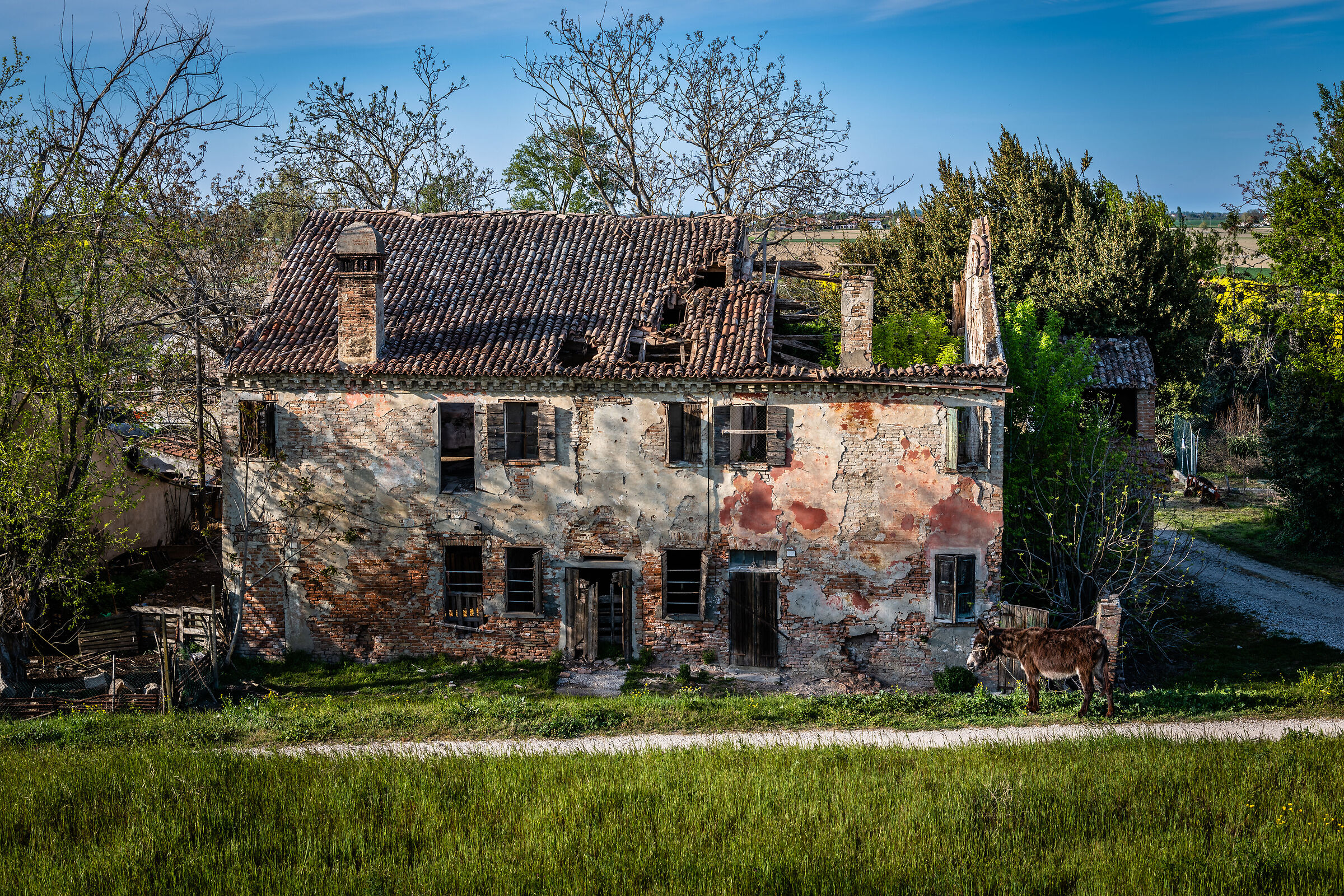 The guardian of the cottage