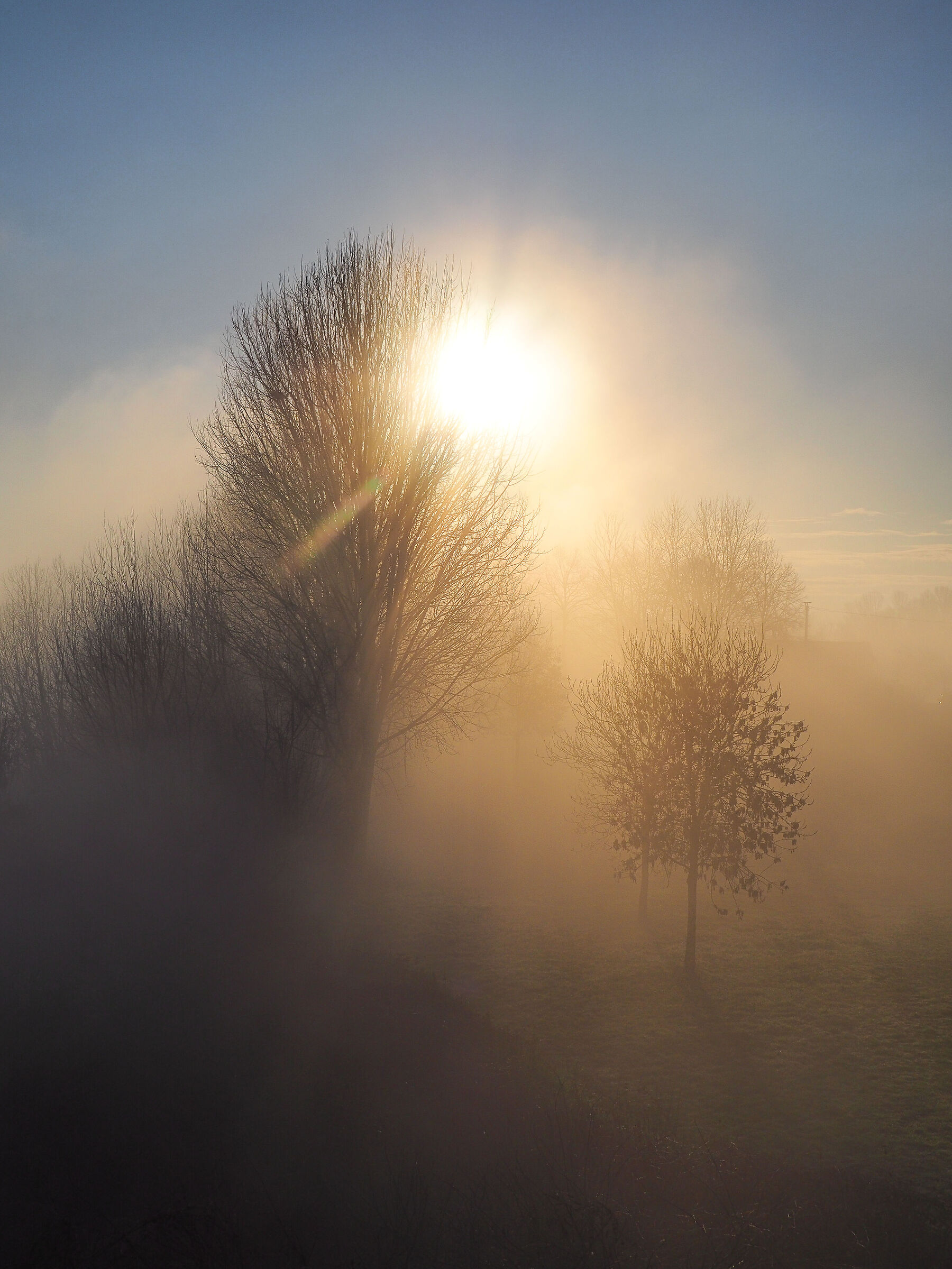 morning mist enveloping