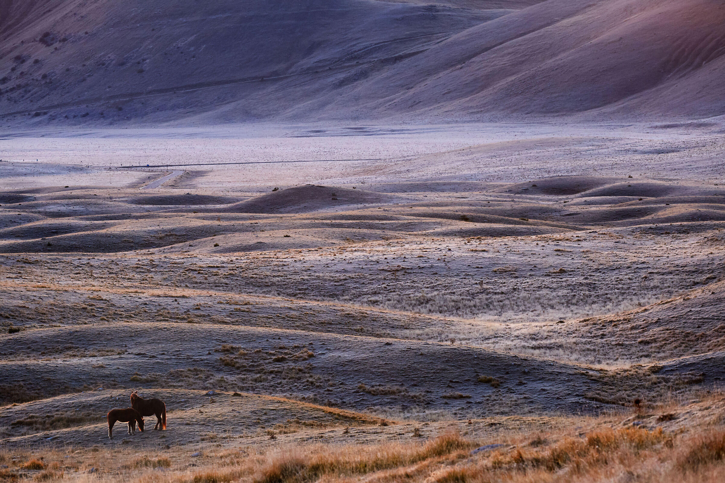 Campo Imperatore